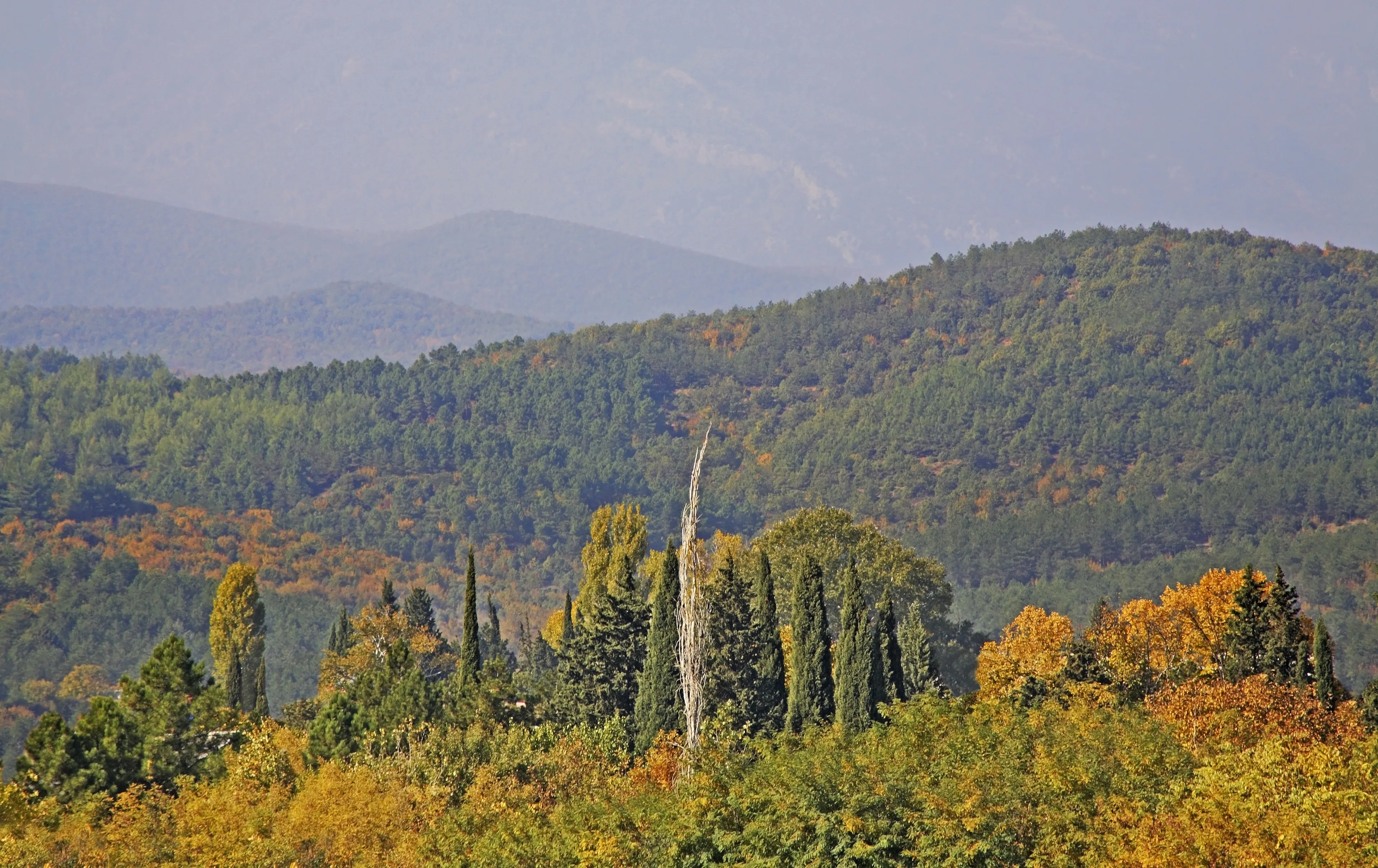 Gevgelija hotels. Best hotels in Gevgelija, Macedonia