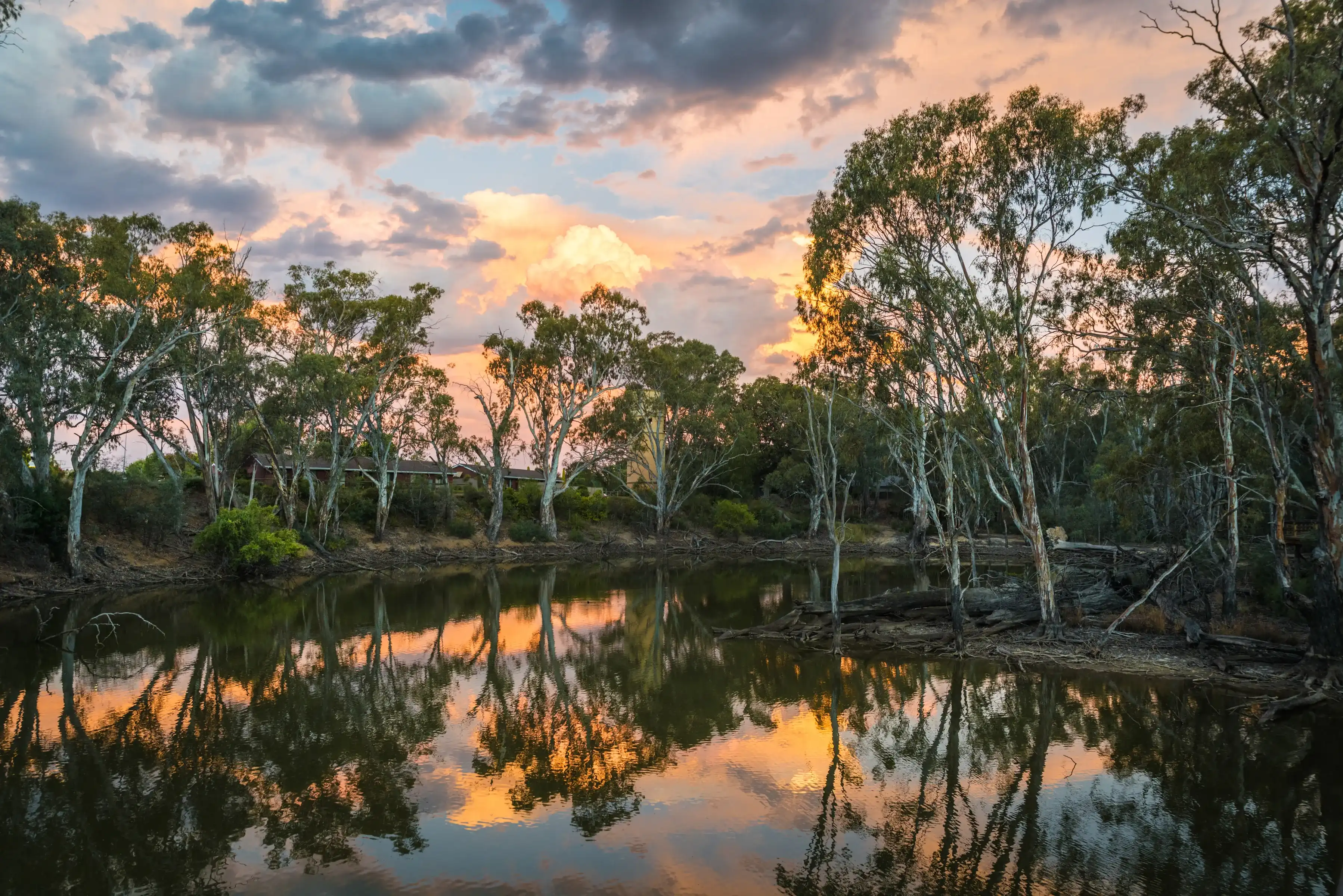 Colourful sunset with beautiful reflections over bank of Murray River, famous Australian tourist destination with eucalyptus gumtree bushes Colourful sunset with beautiful reflections over bank of Murray River, famous Australian tourist destination with eucalyptus gumtree bushes
