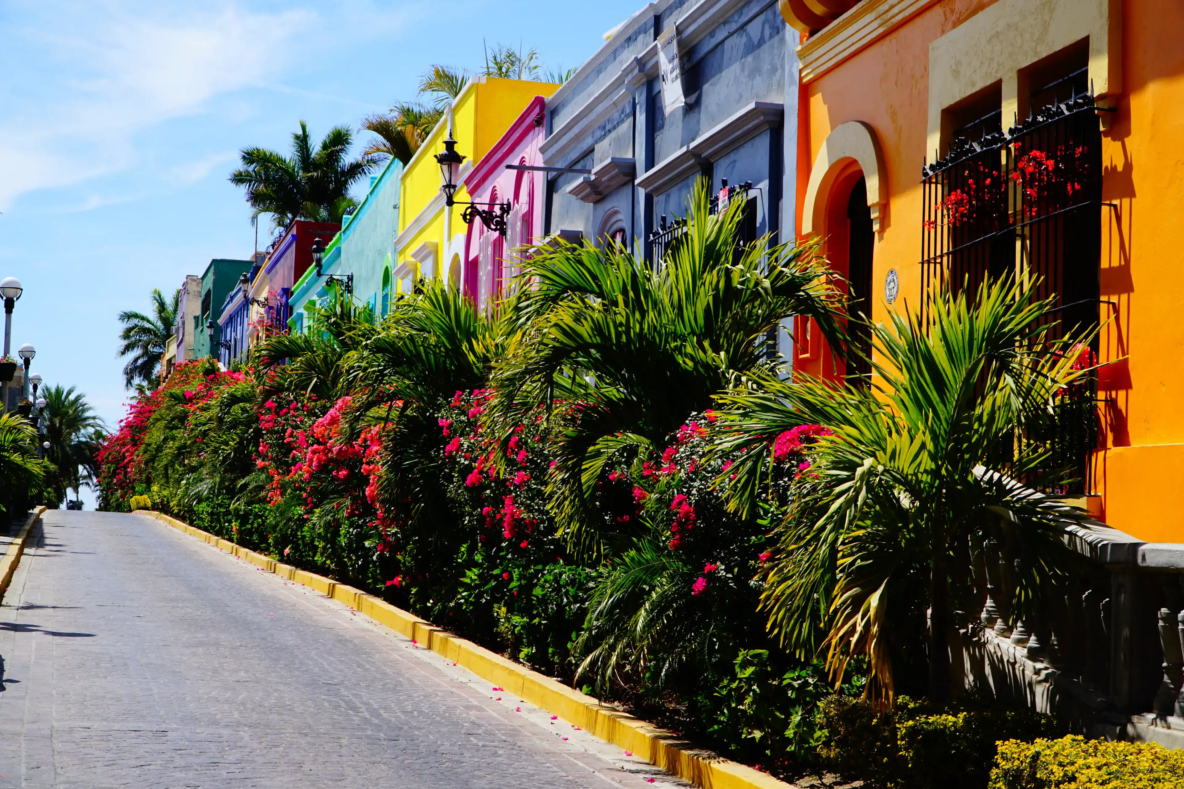Colorful street in Mazatlan, Sinaloa - Mexico Colorful street in Mazatlan, Sinaloa - Mexico