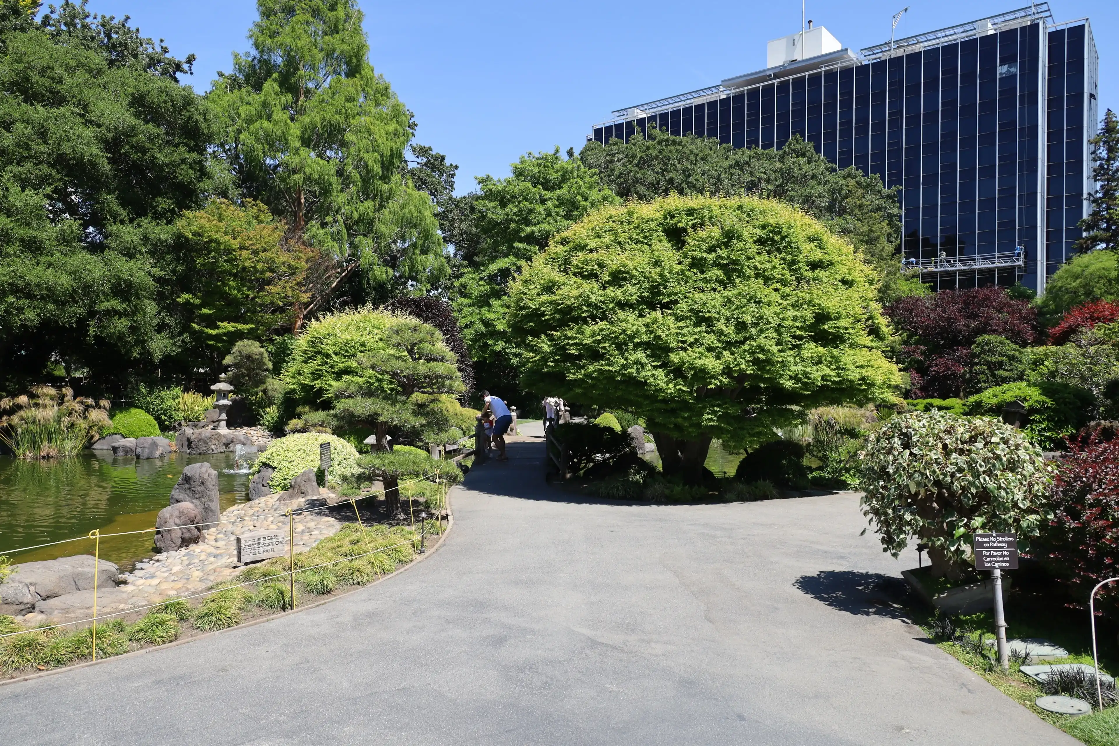 Best Millbrae hotels. Cheap hotels in Millbrae, California, United States Best Millbrae hotels. Cheap hotels in Millbrae, California, United States