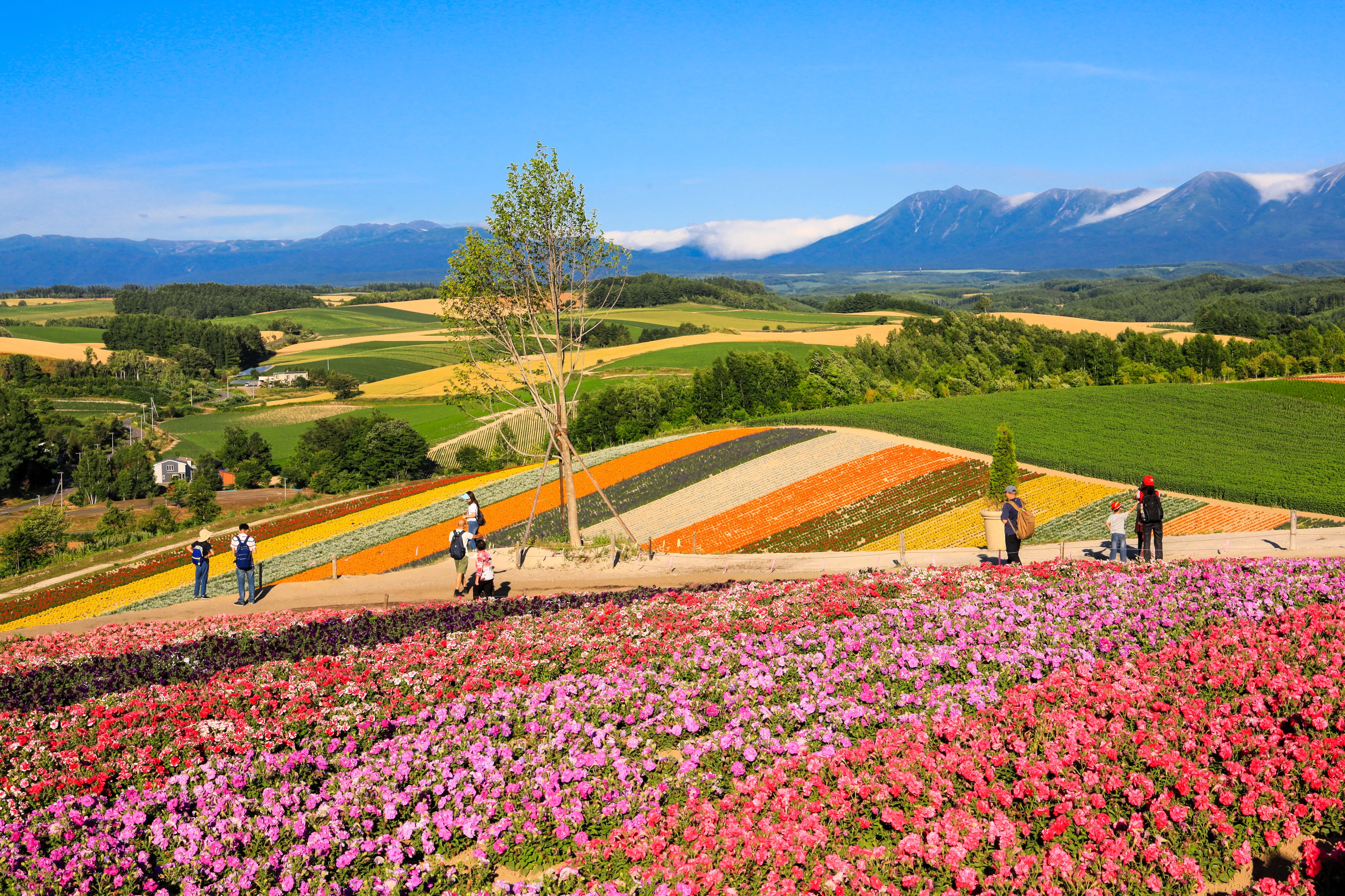 Hokkaido hotels. Best hotels in Hokkaido, Japan