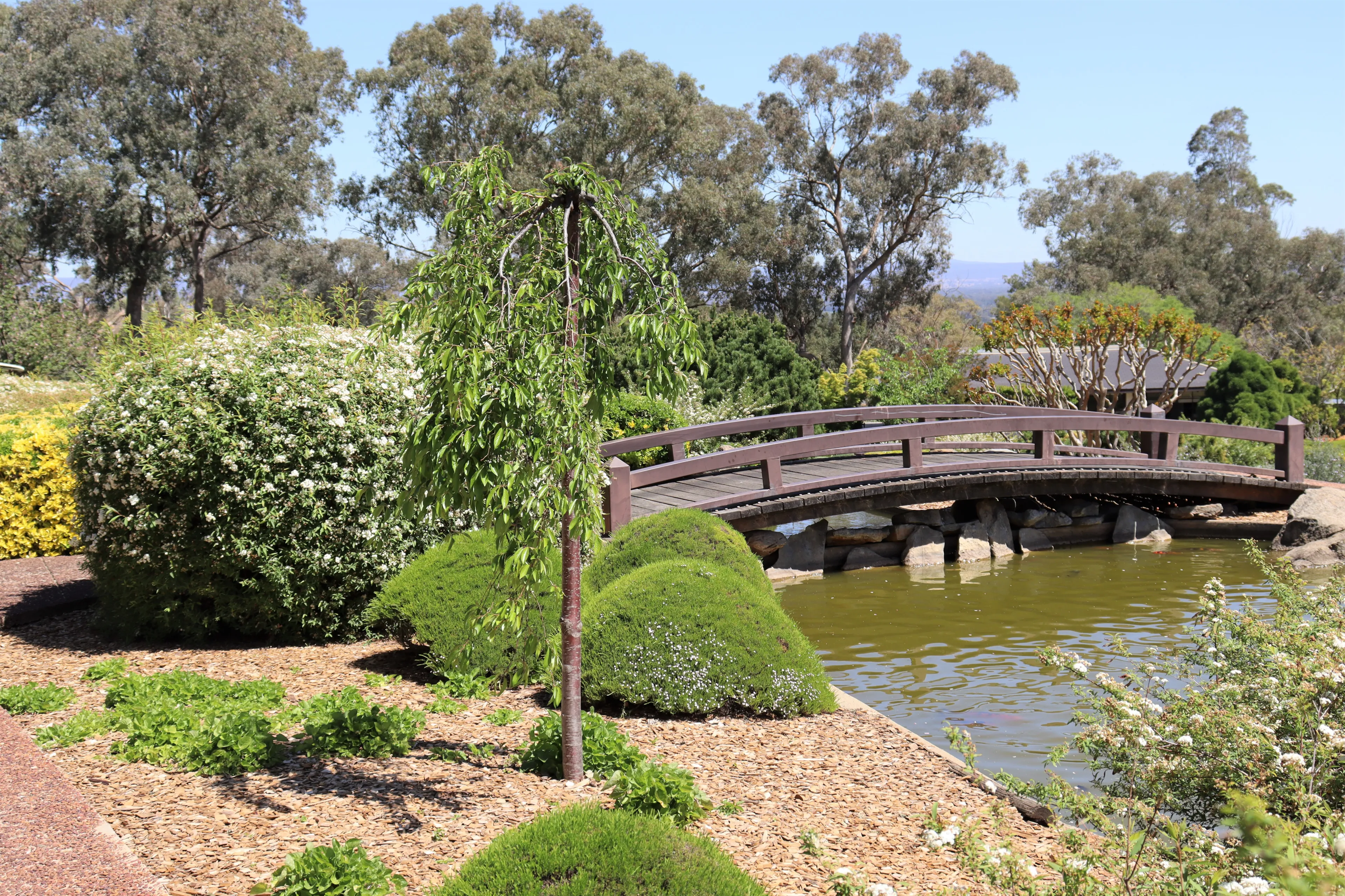 Best Cowra hotels. Cheap hotels in Cowra, New South Wales, Australia