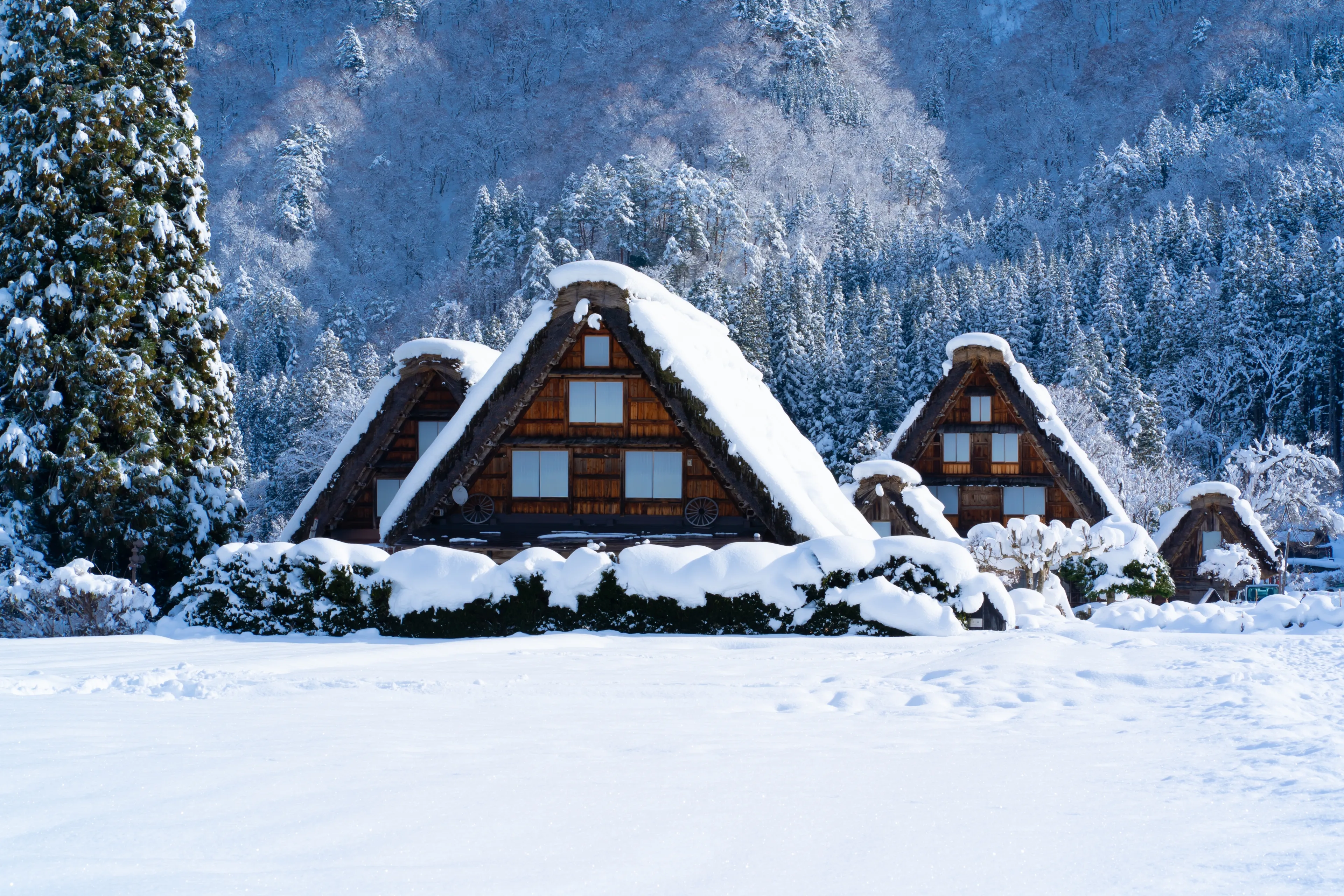World Heritage Site, Shirakawa-go in winter (Gifu, Japan)