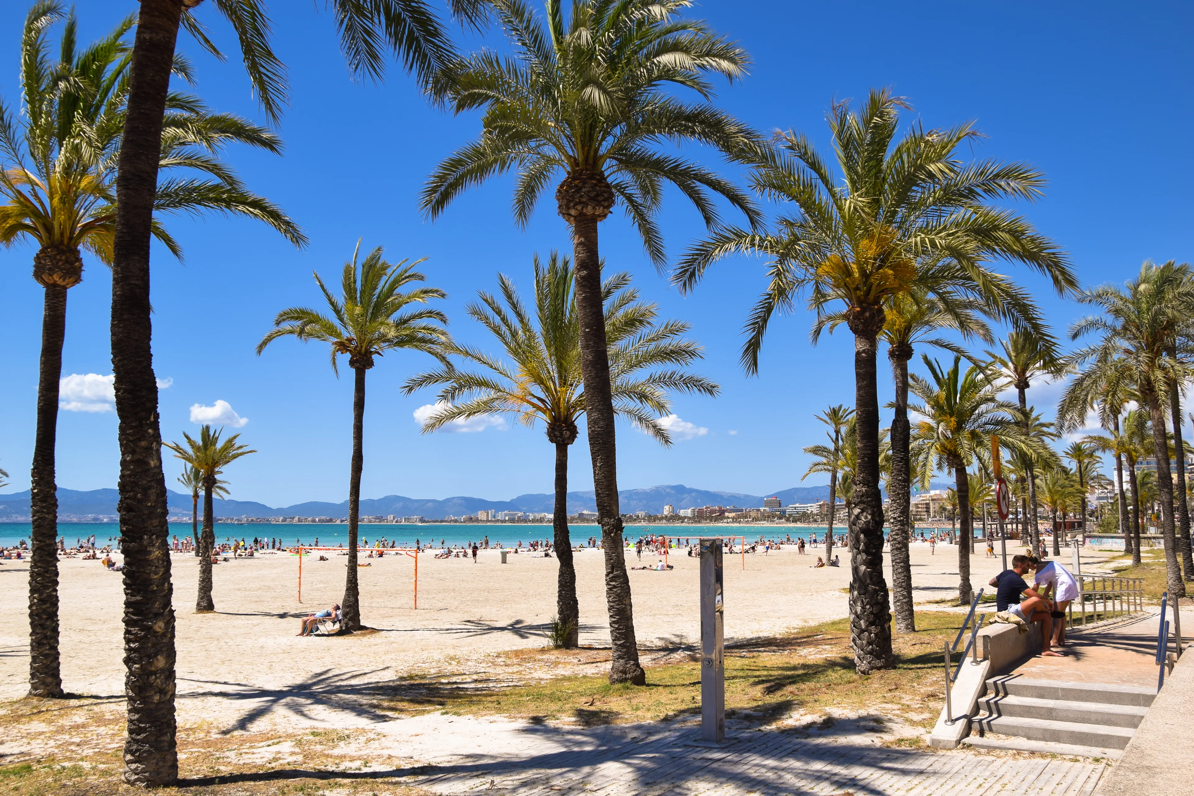 El ARENAL, MALLORCA, SPAIN - May 22 2019: S'Arenal beach with palm trees and sunbathing people. El Arenal is a tourist town on the island of Majorca in the Balearic Islands.