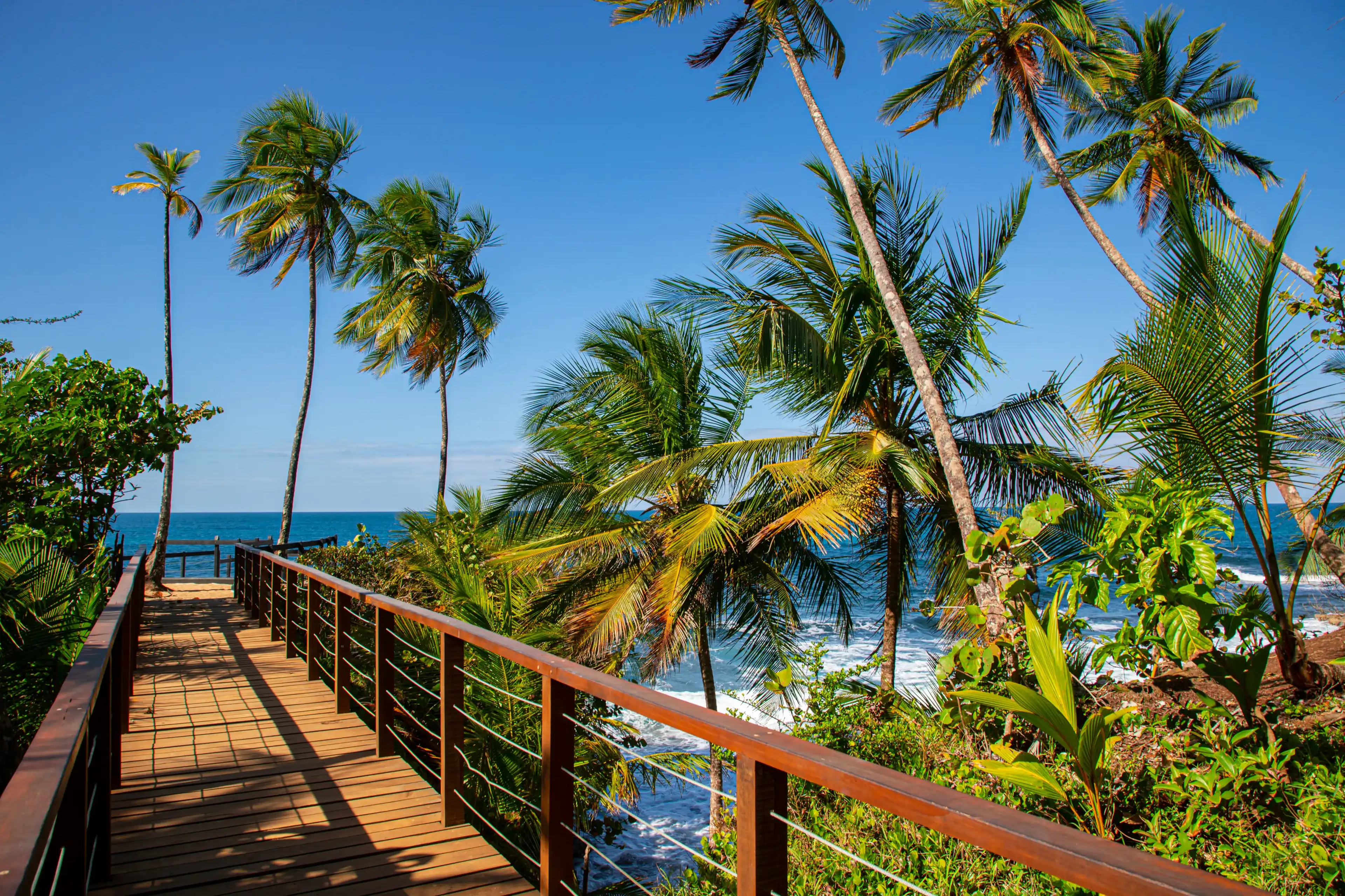 New viewing platform at National Park Manzanillo in Costa Rica at the Caribbean close to Puerto Viejo New viewing platform at National Park Manzanillo in Costa Rica at the Caribbean close to Puerto Viejo