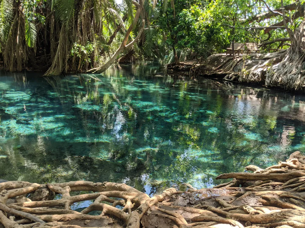 River. Chemka Hot Springs. Kikuletwa Hotsprings. Moshi. Arusha. Kilimanjaro. Tanzania