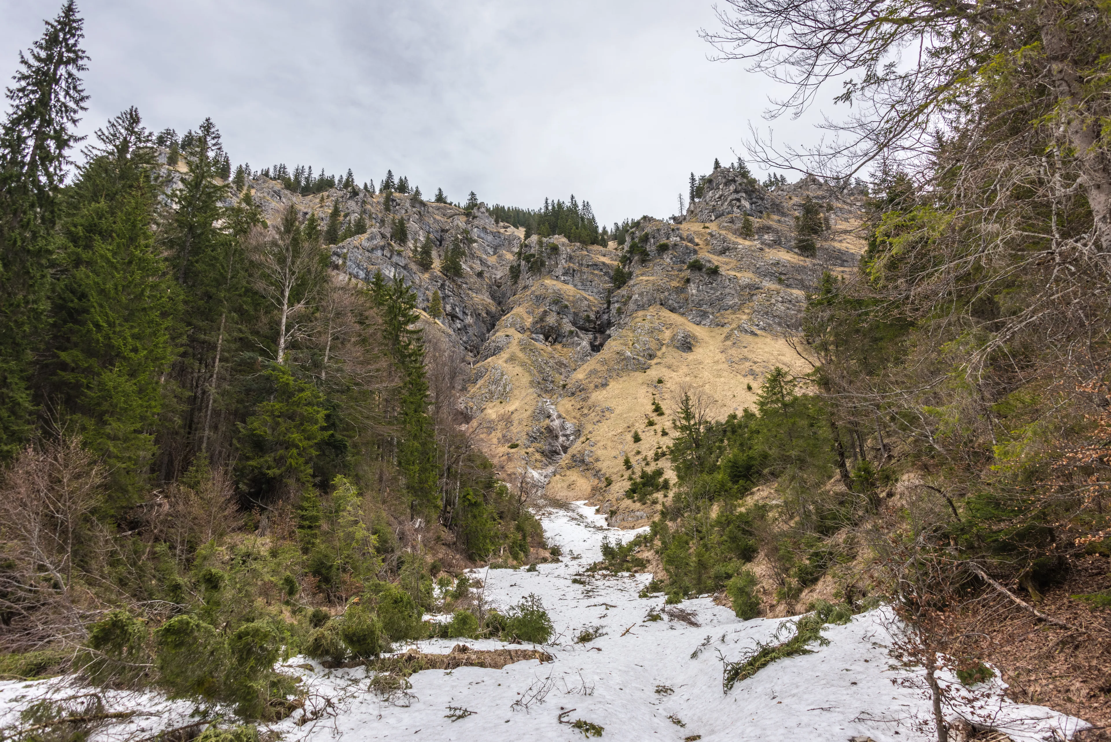 Best Halblech hotels. Cheap hotels in Halblech, Germany