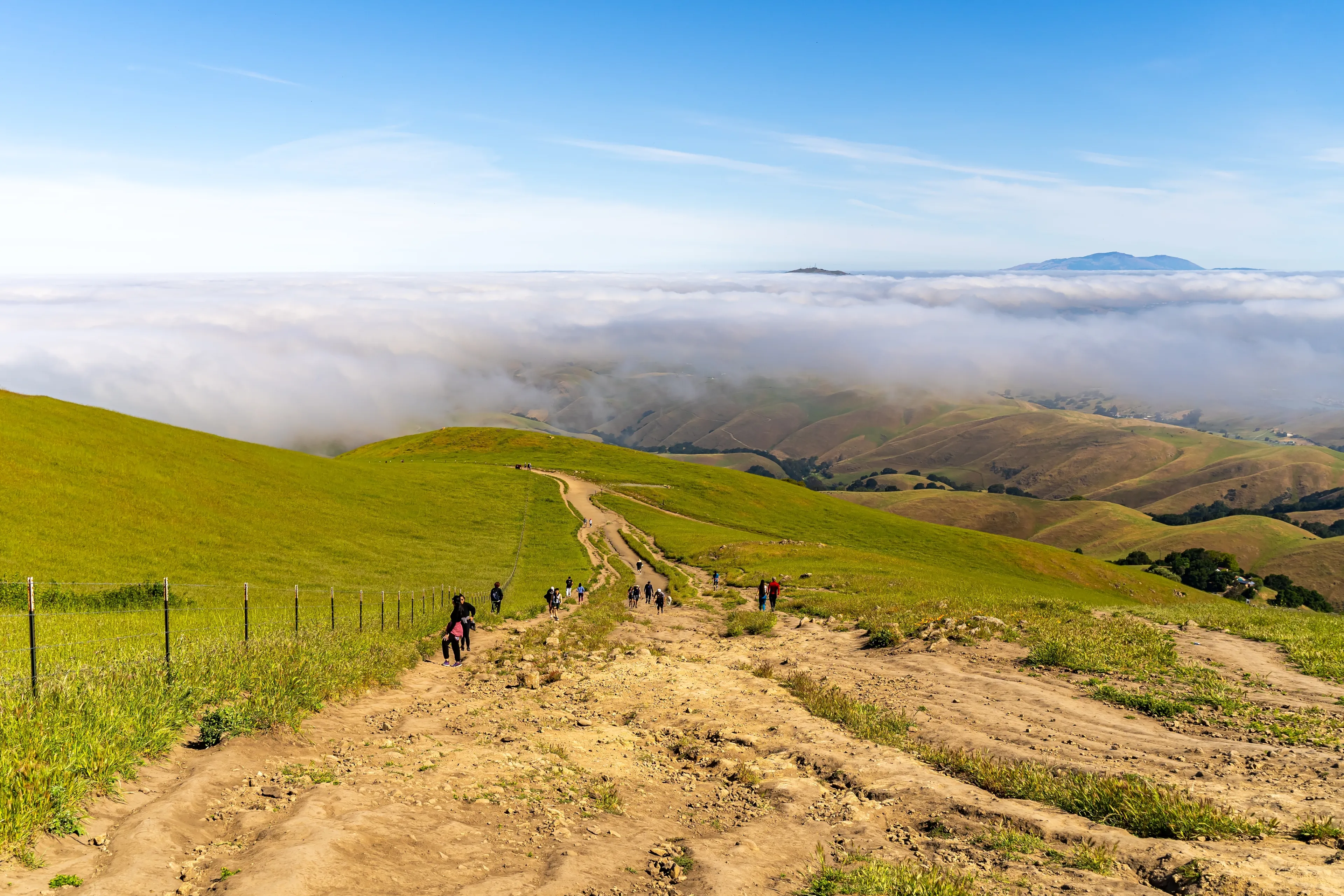 Best Fremont hotels. Cheap hotels in Fremont, California, United States