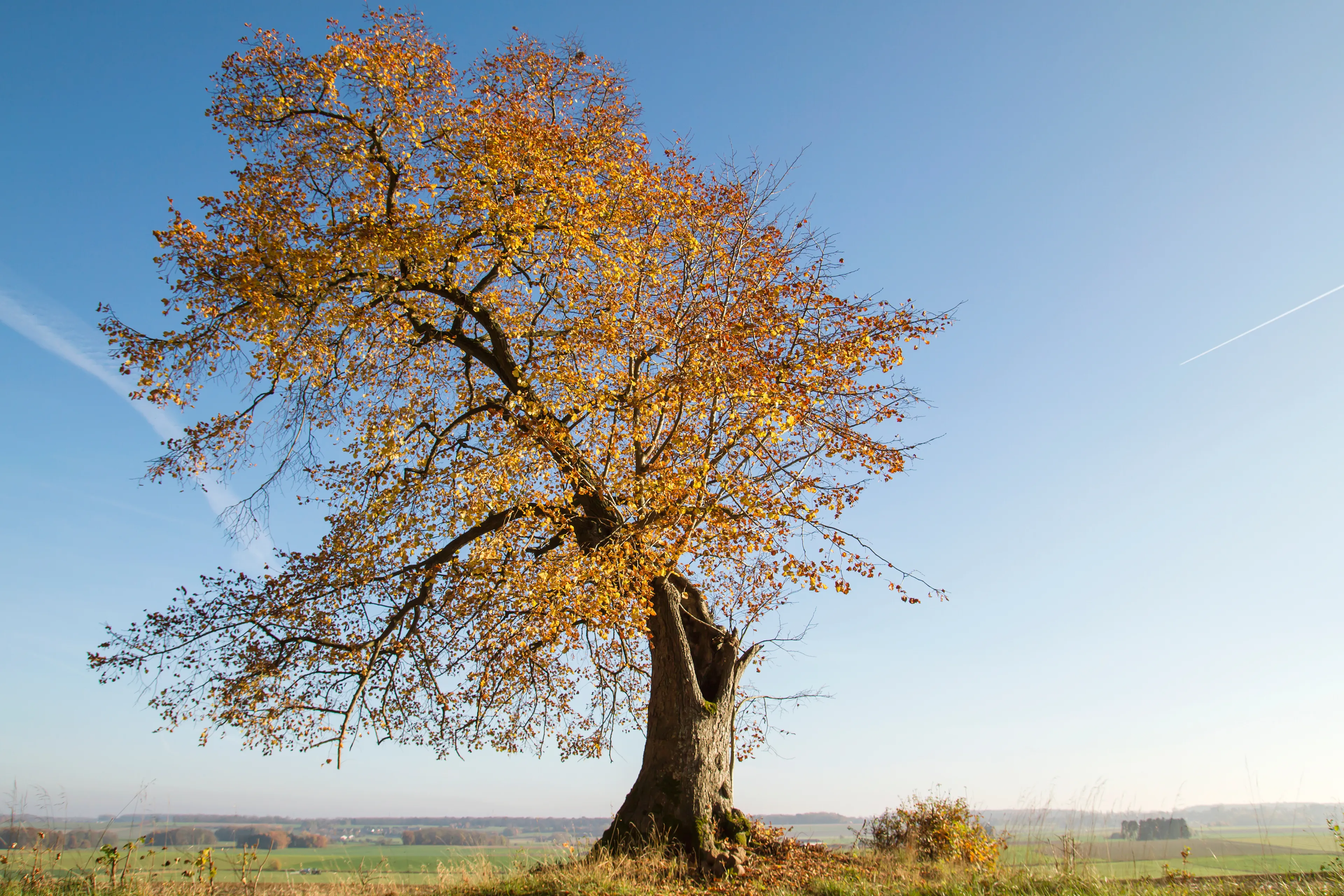 Best Ohey hotels. Cheap hotels in Ohey, Belgium