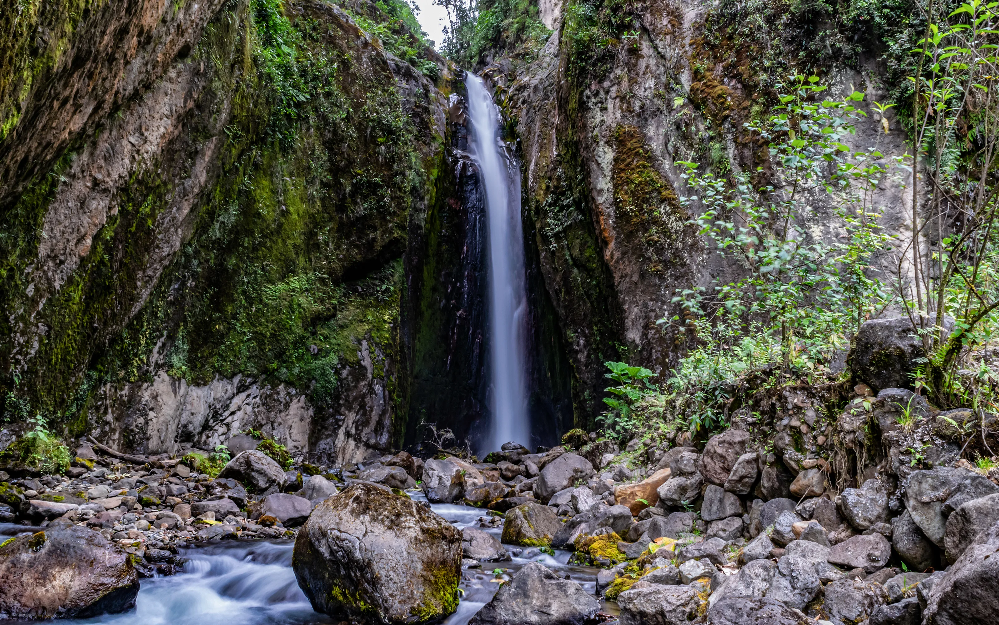 Departamento de Tolima hotels. Best hotels in Departamento de Tolima, Colombia