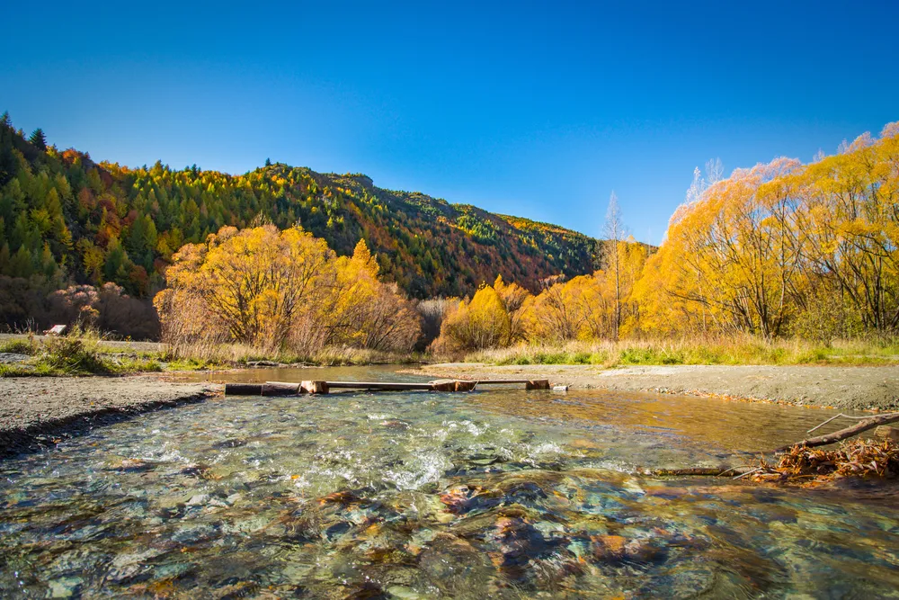 colorful arrow river and bushes, Autumnal Arrowtown New Zealand