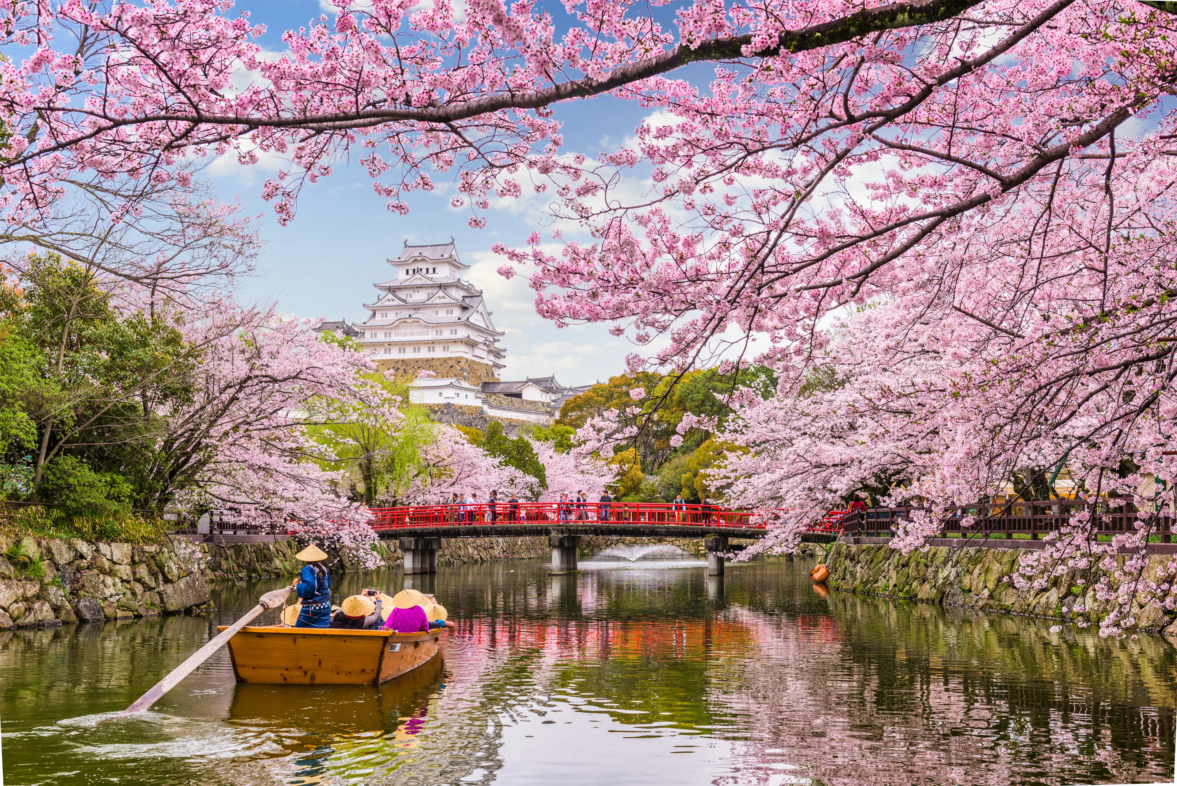 Himeji, Japan at Himeji Castle in spring season.