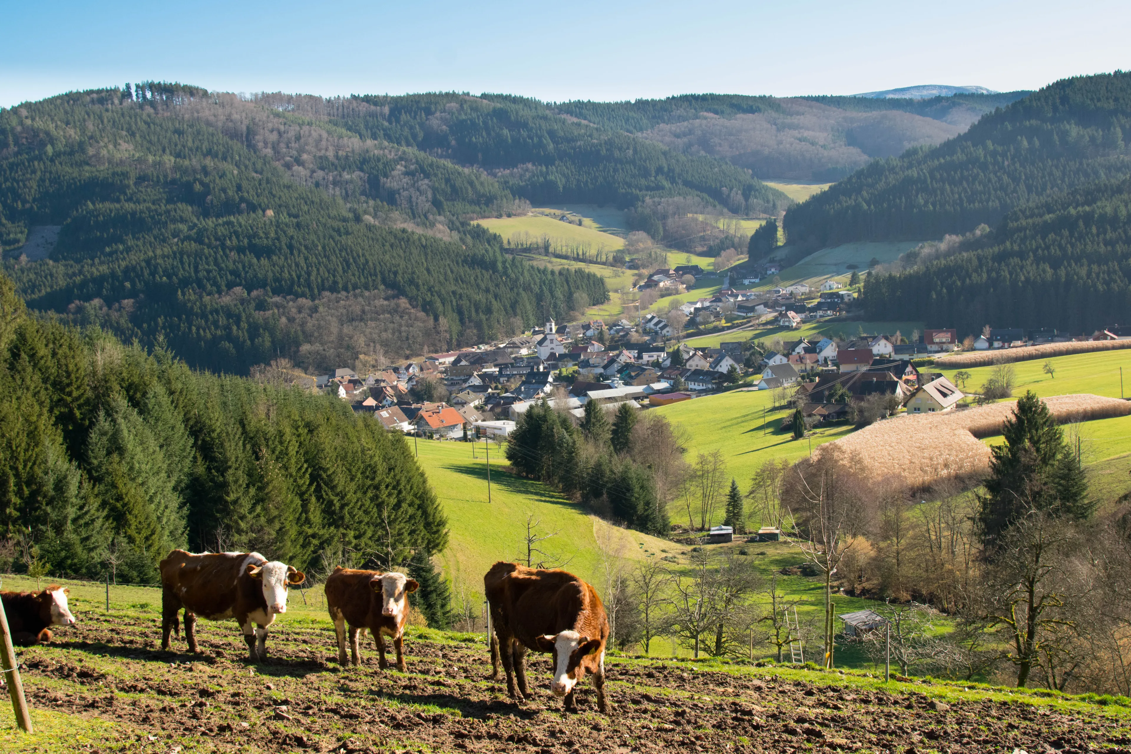 Best Hofstetten hotels. Cheap hotels in Hofstetten, Baden-Württemberg, Germany