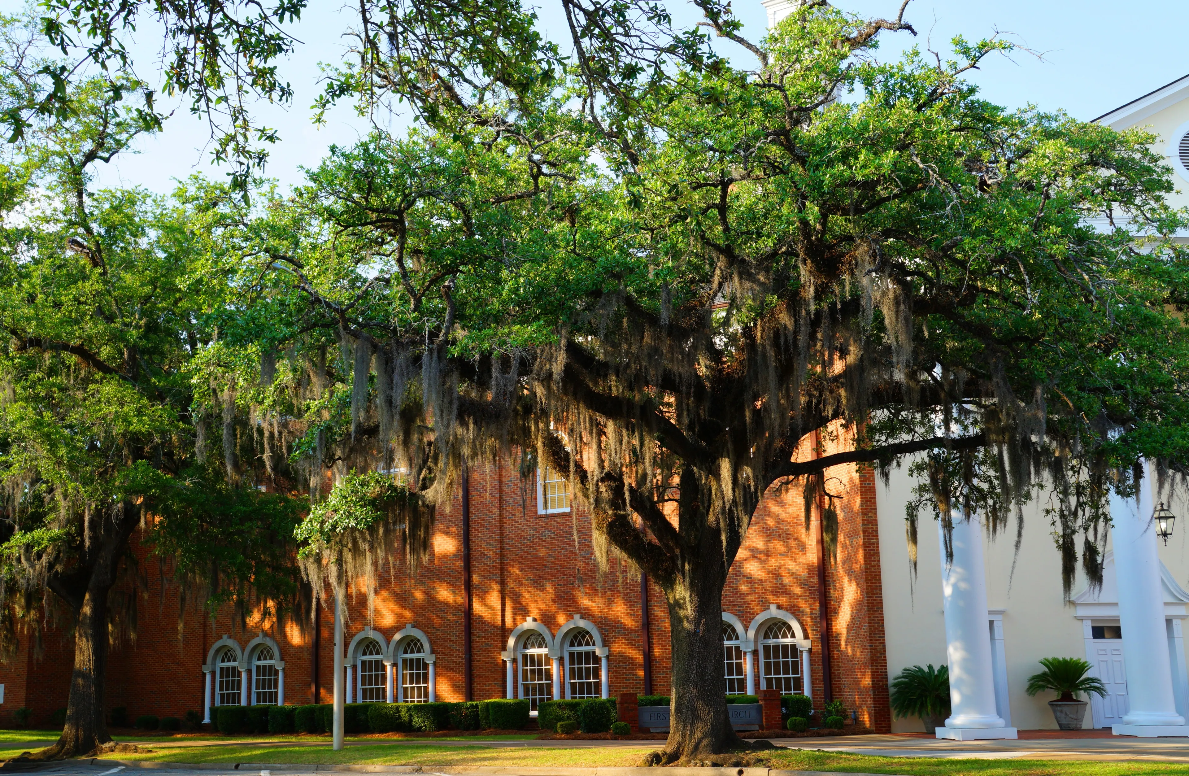 Old Southern Buildings Shrouded by old oak trees in Thomasville Georgia