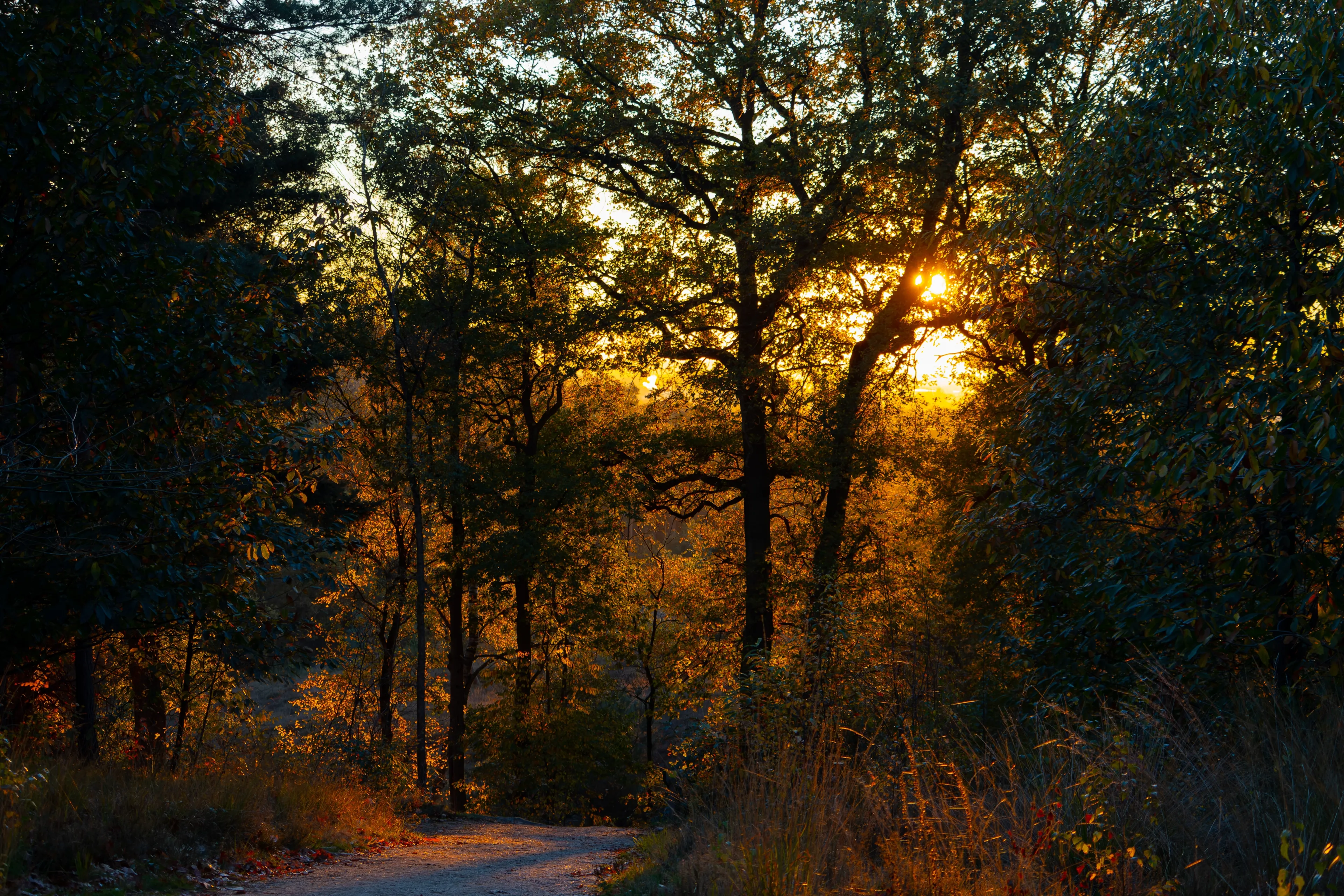 Best Molenhoek hotels. Cheap hotels in Molenhoek, Netherlands