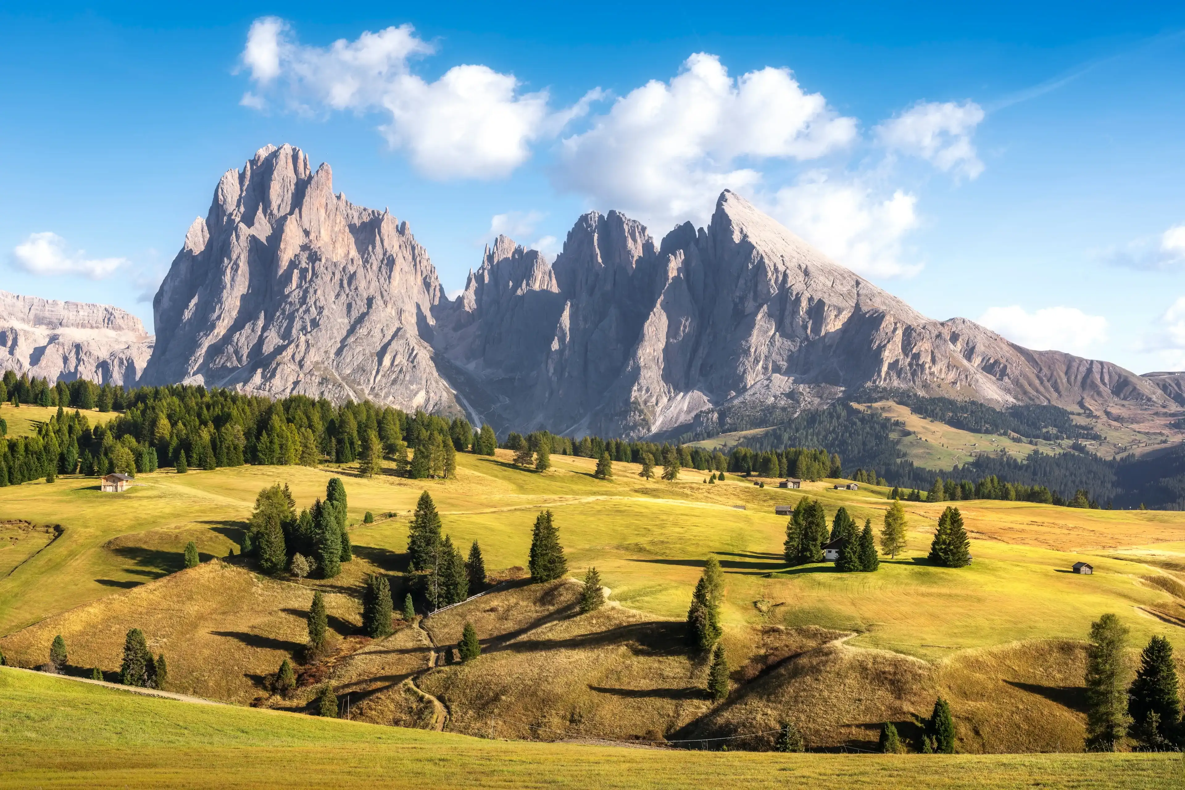 Alpe di Siusi or Seiser Alm, Dolomites Alps Sassolungo and Sassopiatto mountains, Trentino Alto Adige South Tyrol region, Italy, Europe Alpe di Siusi or Seiser Alm, Dolomites Alps Sassolungo and Sassopiatto mountains, Trentino Alto Adige South Tyrol region, Italy, Europe
