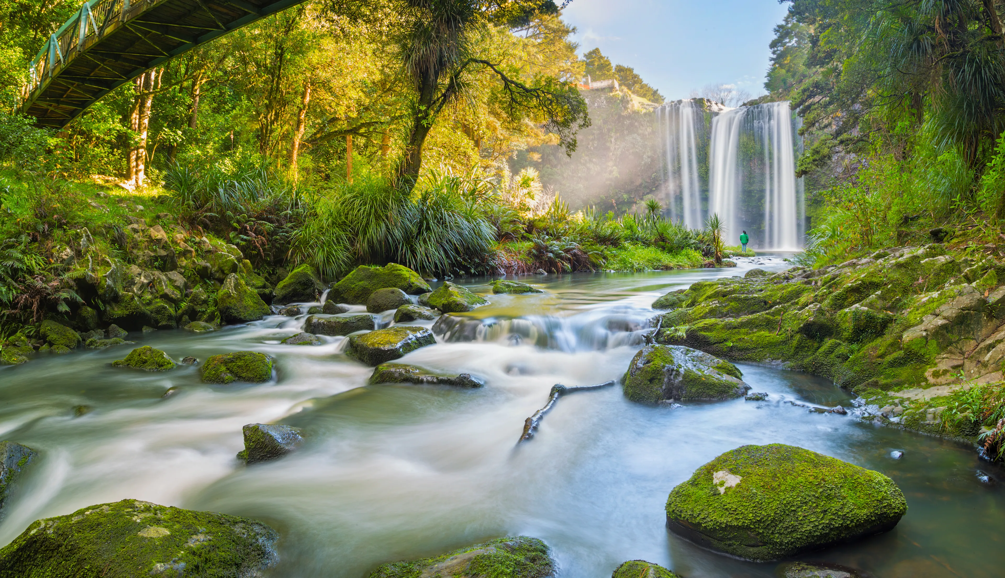 Beauty of the Whangarei falls, Northland, New Zealand is unmatched and heavenly on a clear sunny day. The picturesque waterfall is 26.3m high and falls over basalt cliffs. 