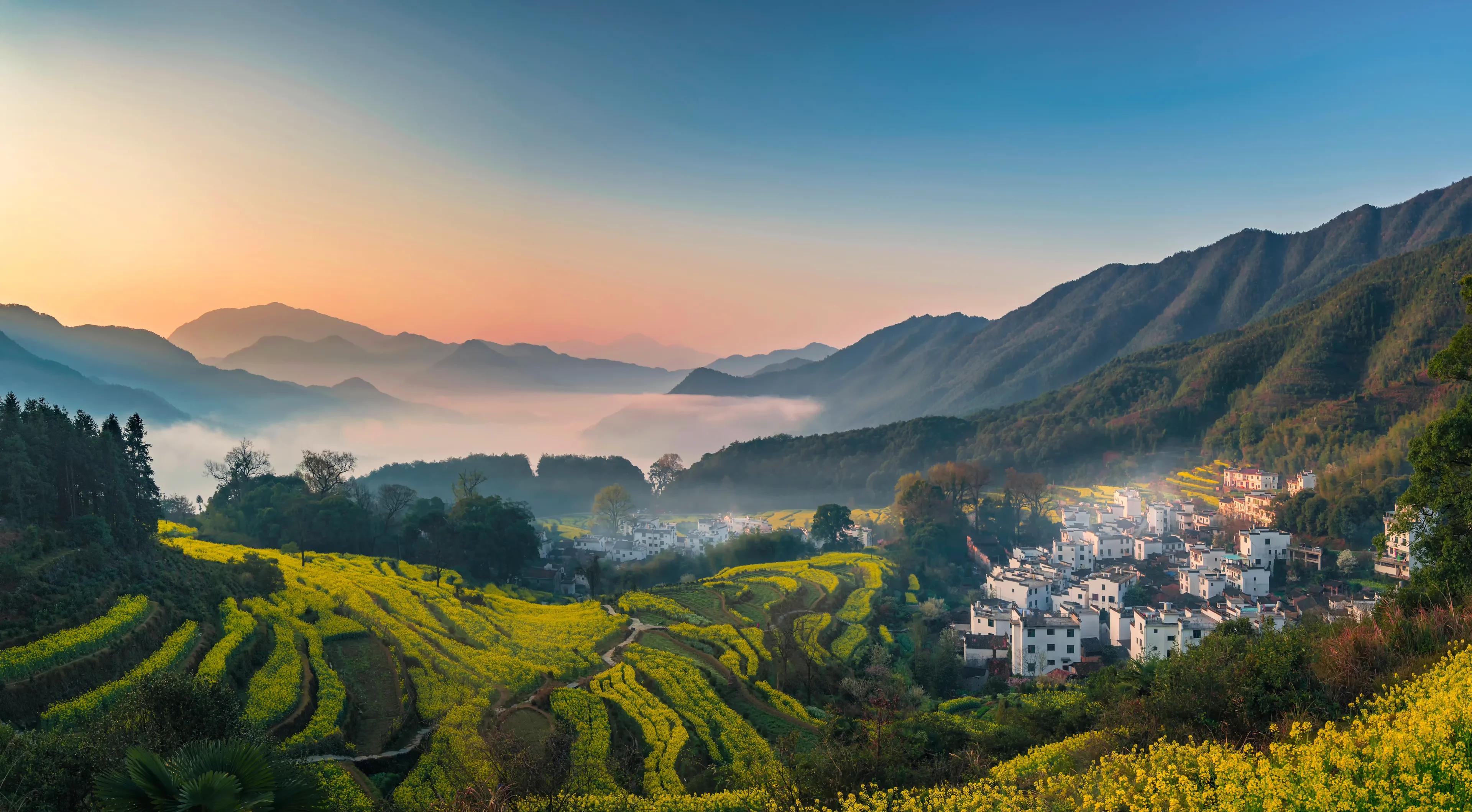 China Jiangxi Wuyuan Jiangling rapeseed terraces early morning sunrise morning cloud sea connection
