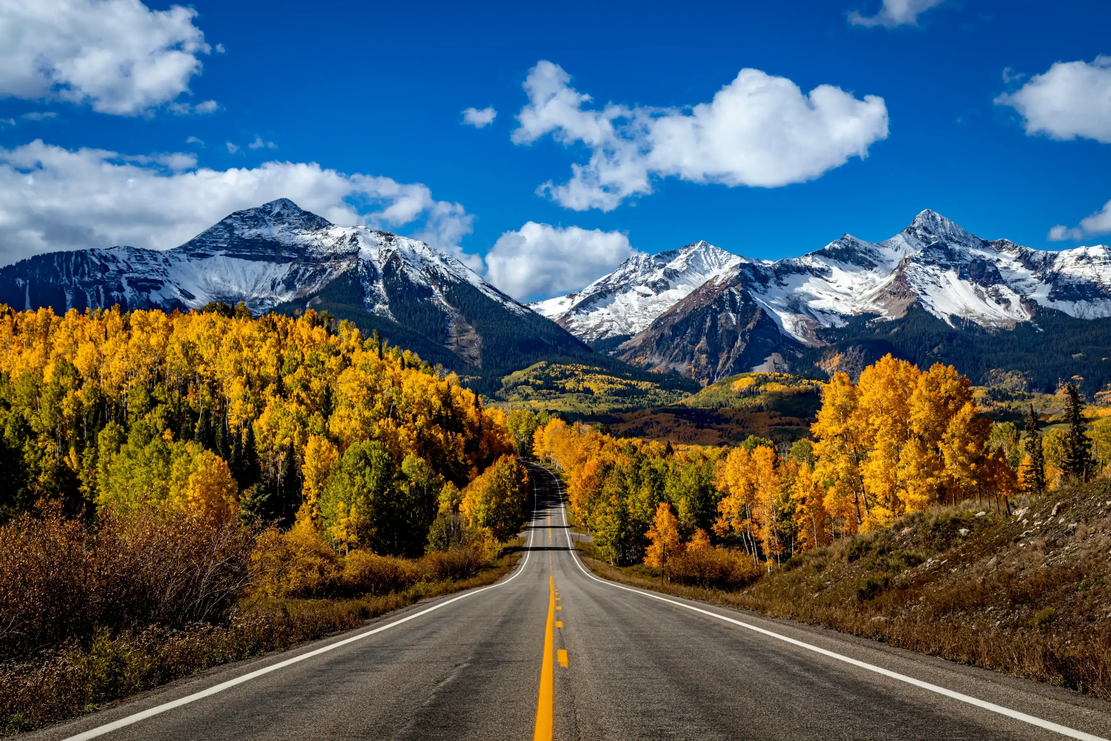 Stunning scenic fall drive along Colorado 145 near Telluride Colorado on a sunny afternoon with yellow Aspen trees near peak fall colors, and 2 lane highway in the foreground Stunning scenic fall drive along Colorado 145 near Telluride Colorado on a sunny afternoon with yellow Aspen trees near peak fall colors, and 2 lane highway in the foreground