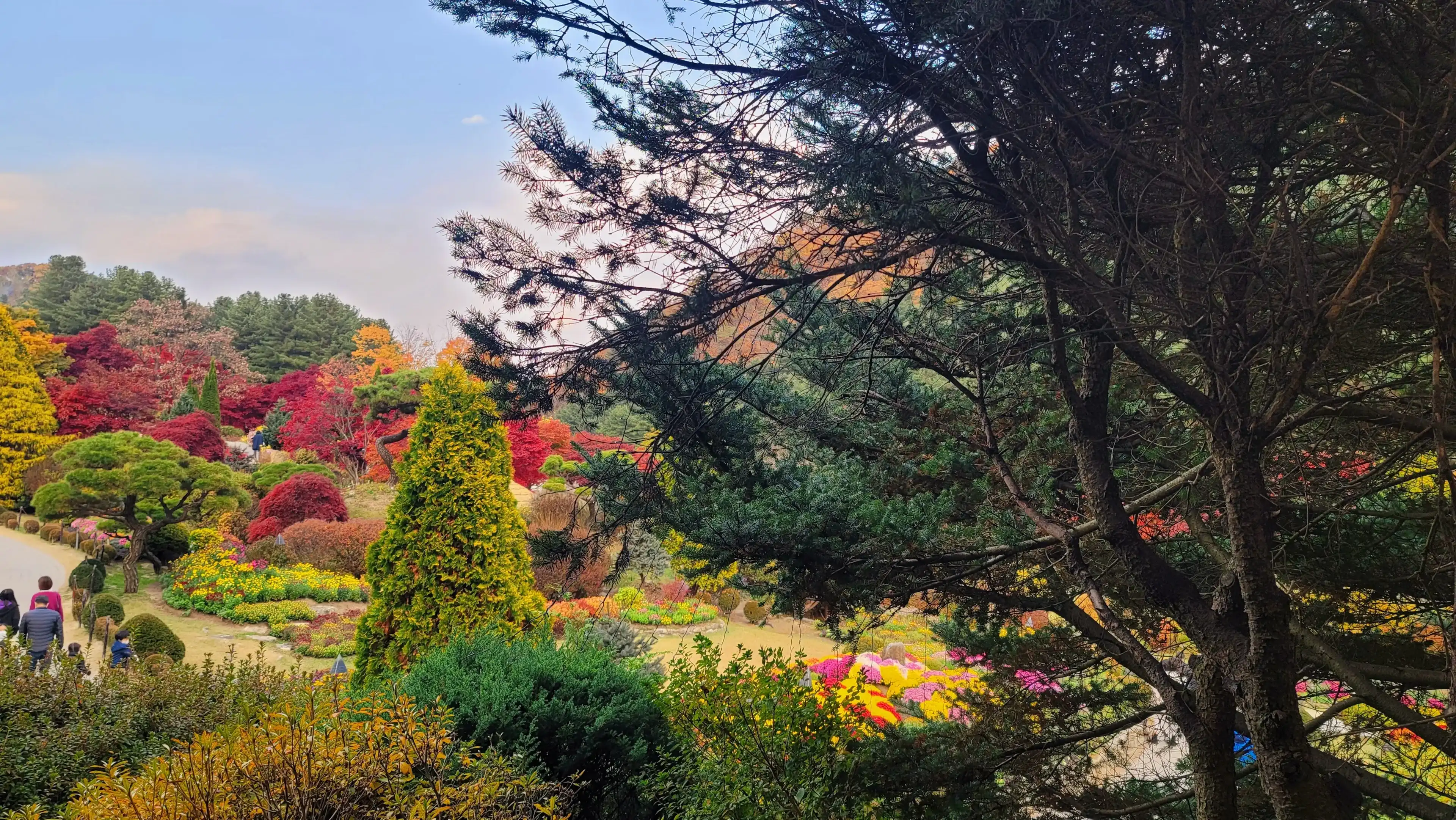 A beautiful view of the Garden of Morning captured at Autumn in Asan City in South Korea A beautiful view of the Garden of Morning captured at Autumn in Asan City in South Korea