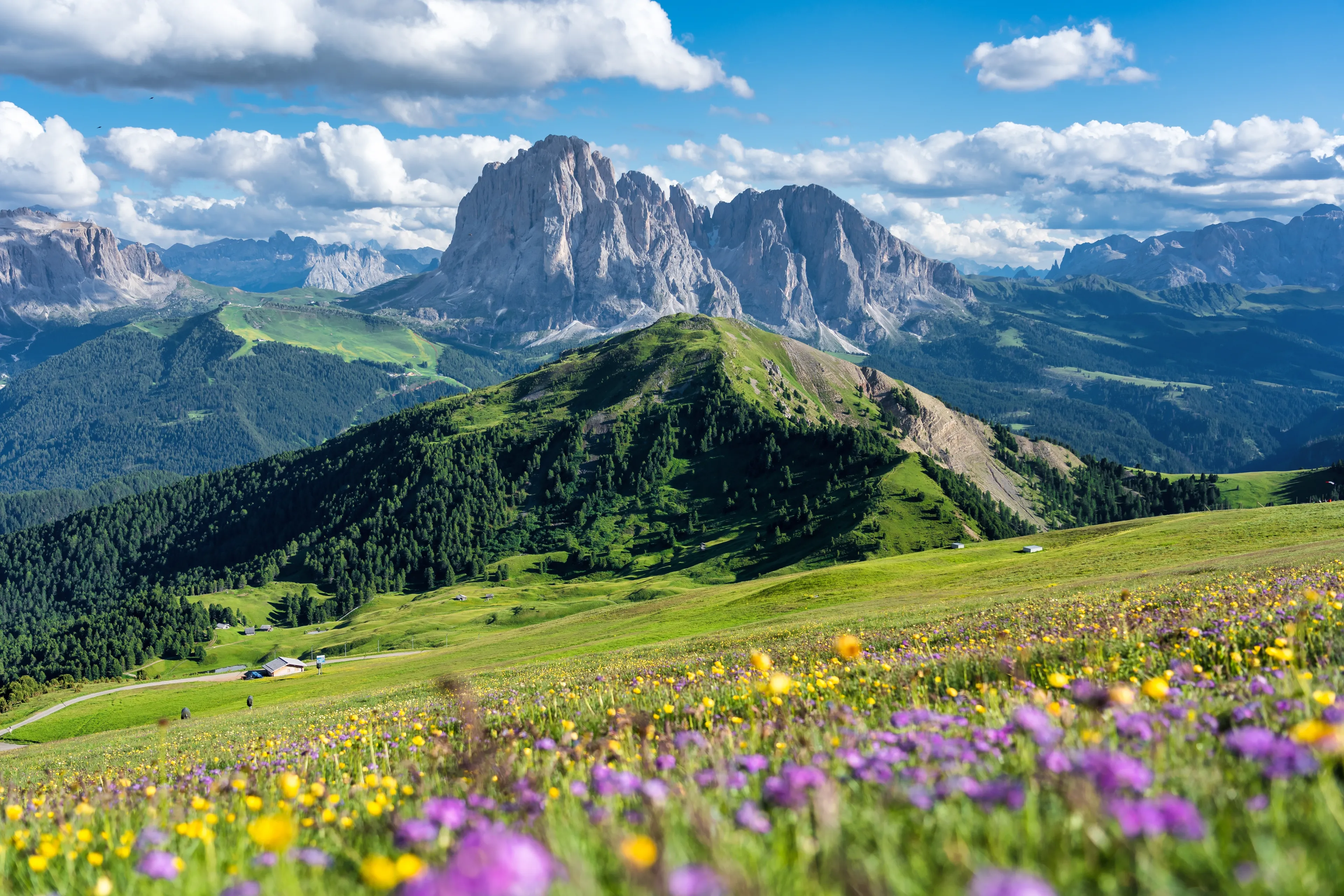 Seceda peak. Trentino Alto Adige, Dolomites Alps, South Tyrol, Italy. Odle mountain range, Val Gardena. Majestic Furchetta peak. Odles group seen from Seceda, Santa Cristina Val Gardena.