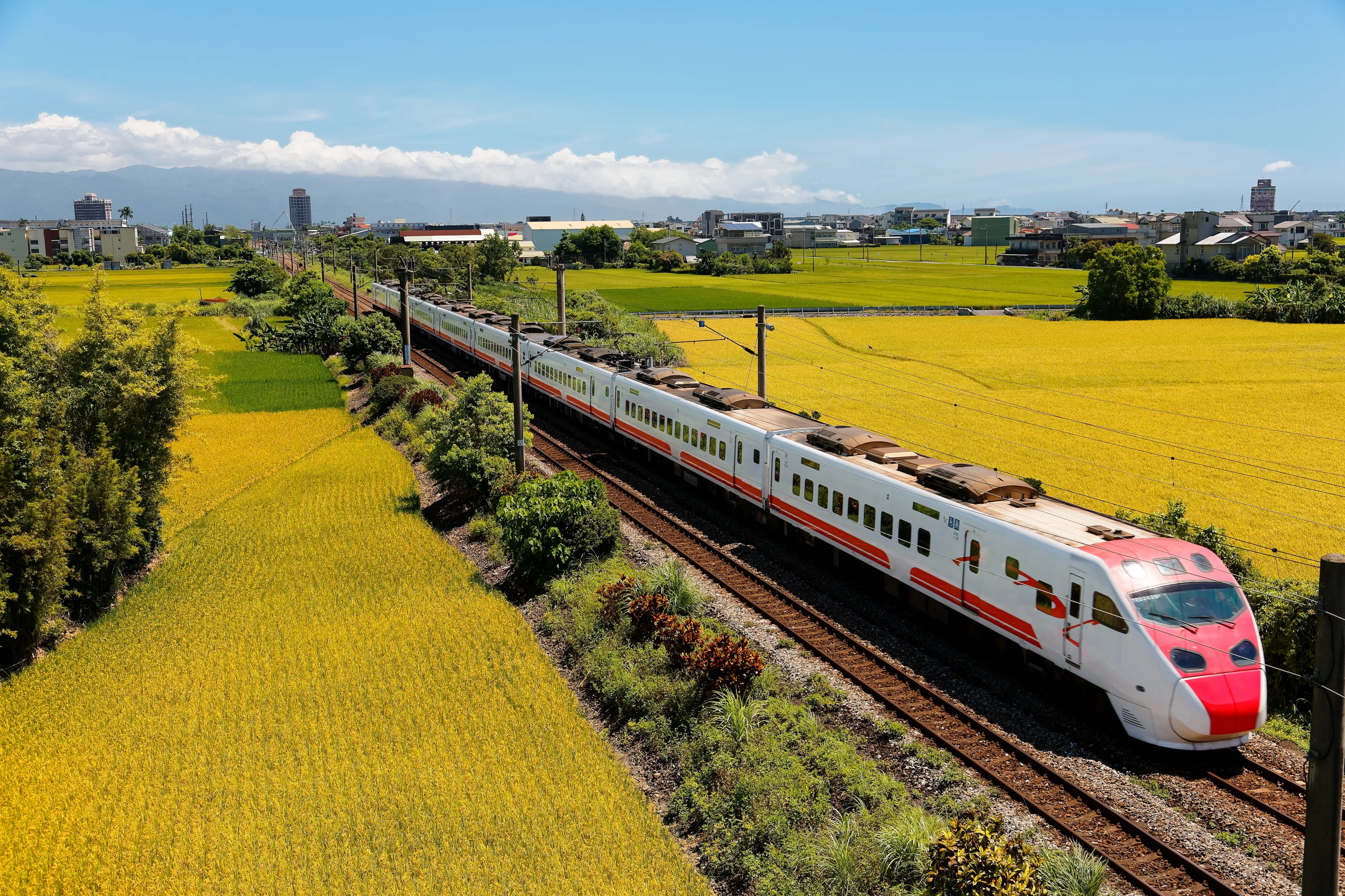 A Puyuma Express train traveling in the beautiful landscape of rice paddy fields on a sunny summer day, with golden crops before harvest and distant mountains under blue sky, in Luodong, Yilan, Taiwan