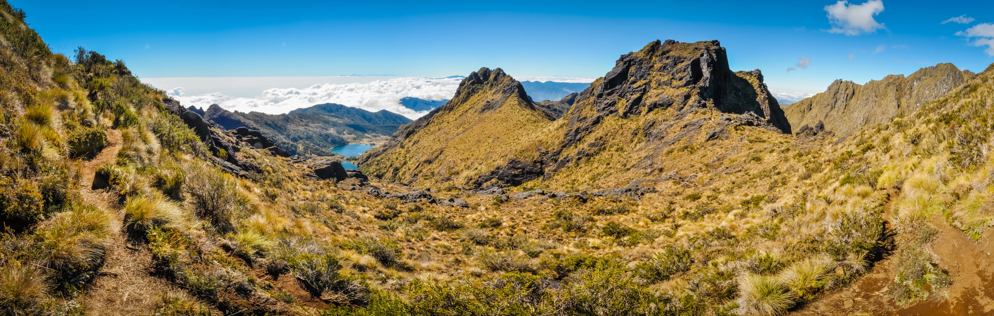 Photo of wilderness and rocks near Mount Wilhelm in Papua New Guinea. This is very remote location, rarely visited by people.