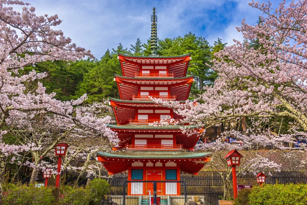 Fujiyoshida, Japan at Chureito Pagoda in Arakurayama Sengen Park during spring cherry blossom season.