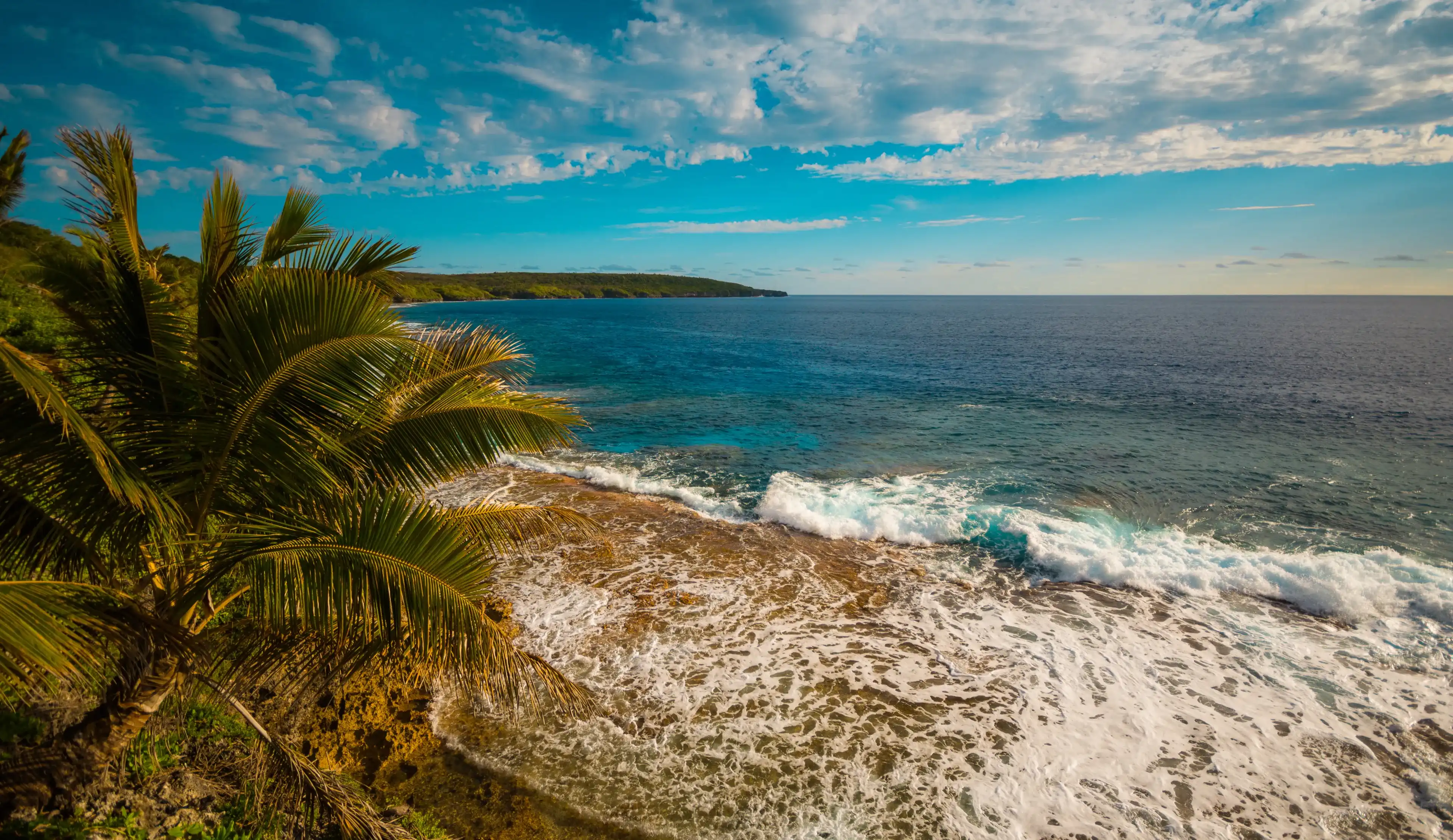 Rocky shore Niue Rocky shore Niue