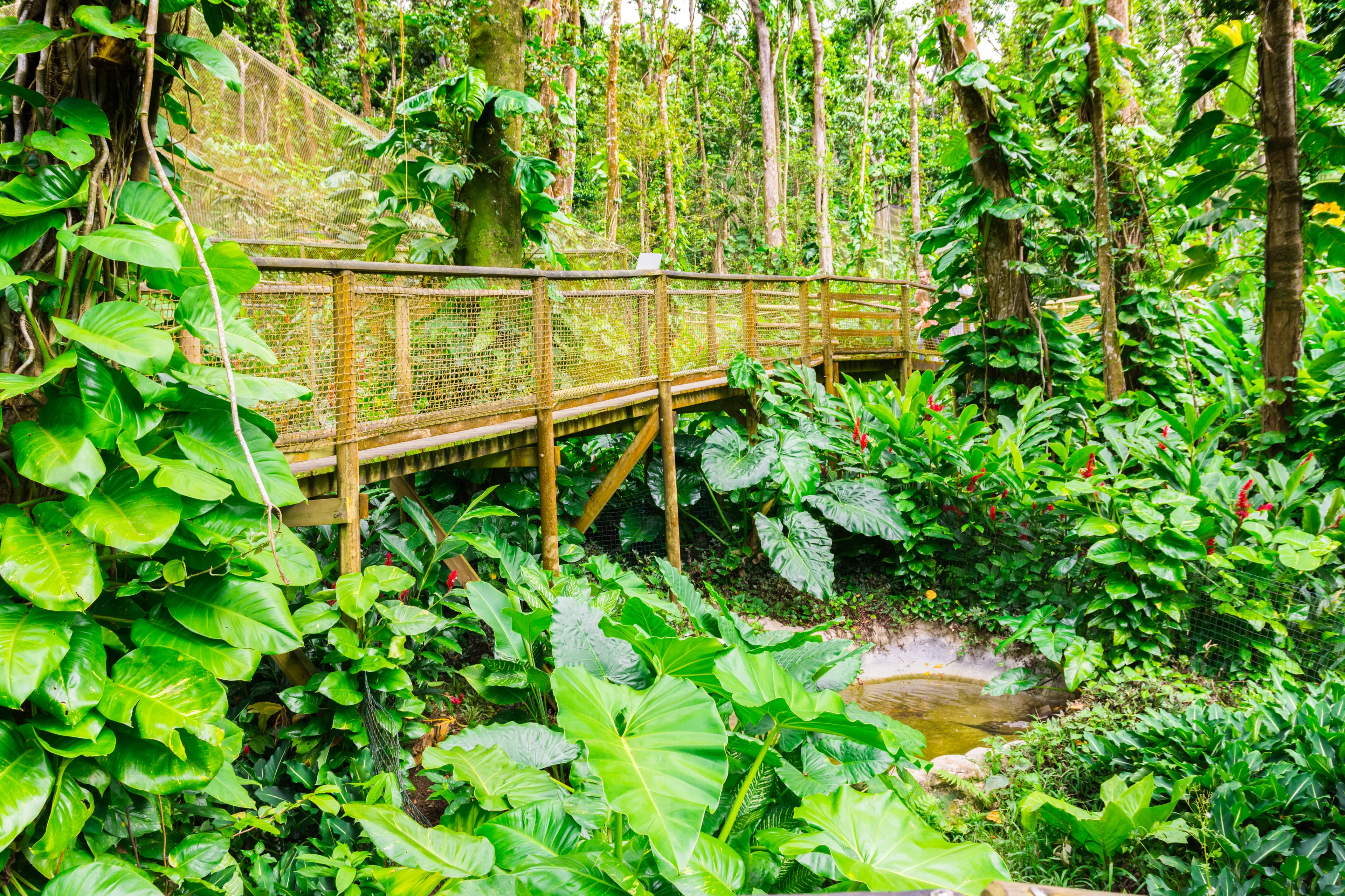 Best Bouillante hotels. Cheap hotels in Bouillante, Guadeloupe