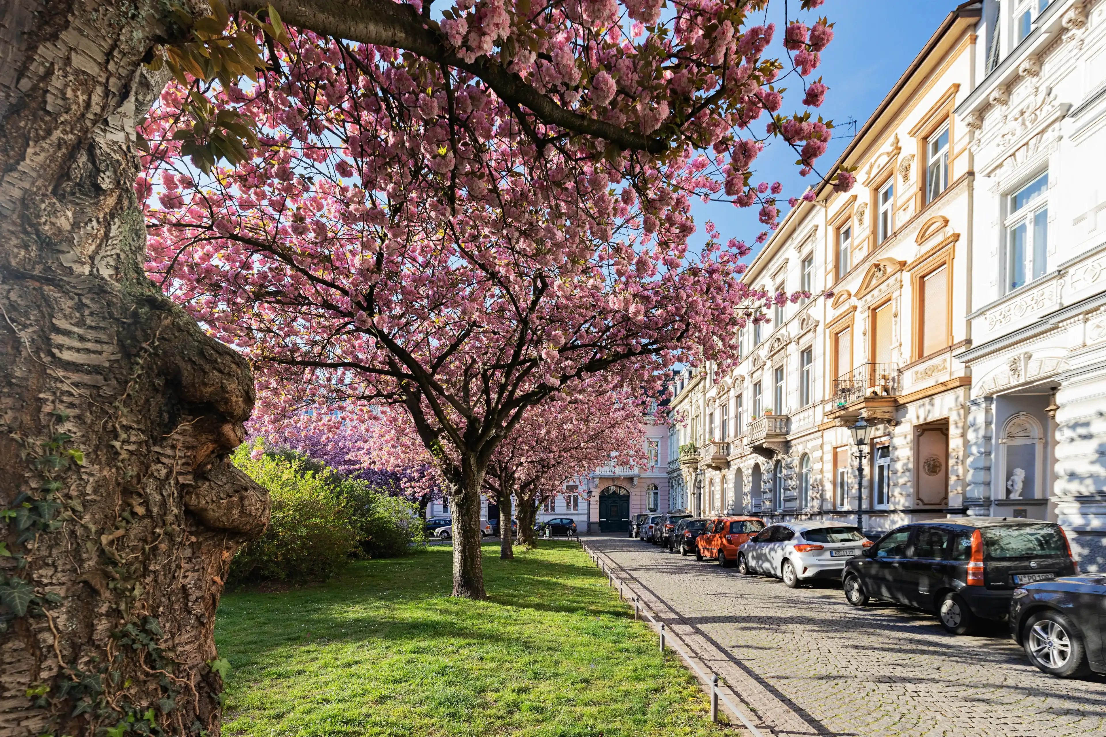 Best Krefeld hotels. Cheap hotels in Krefeld, Germany Best Krefeld hotels. Cheap hotels in Krefeld, Germany