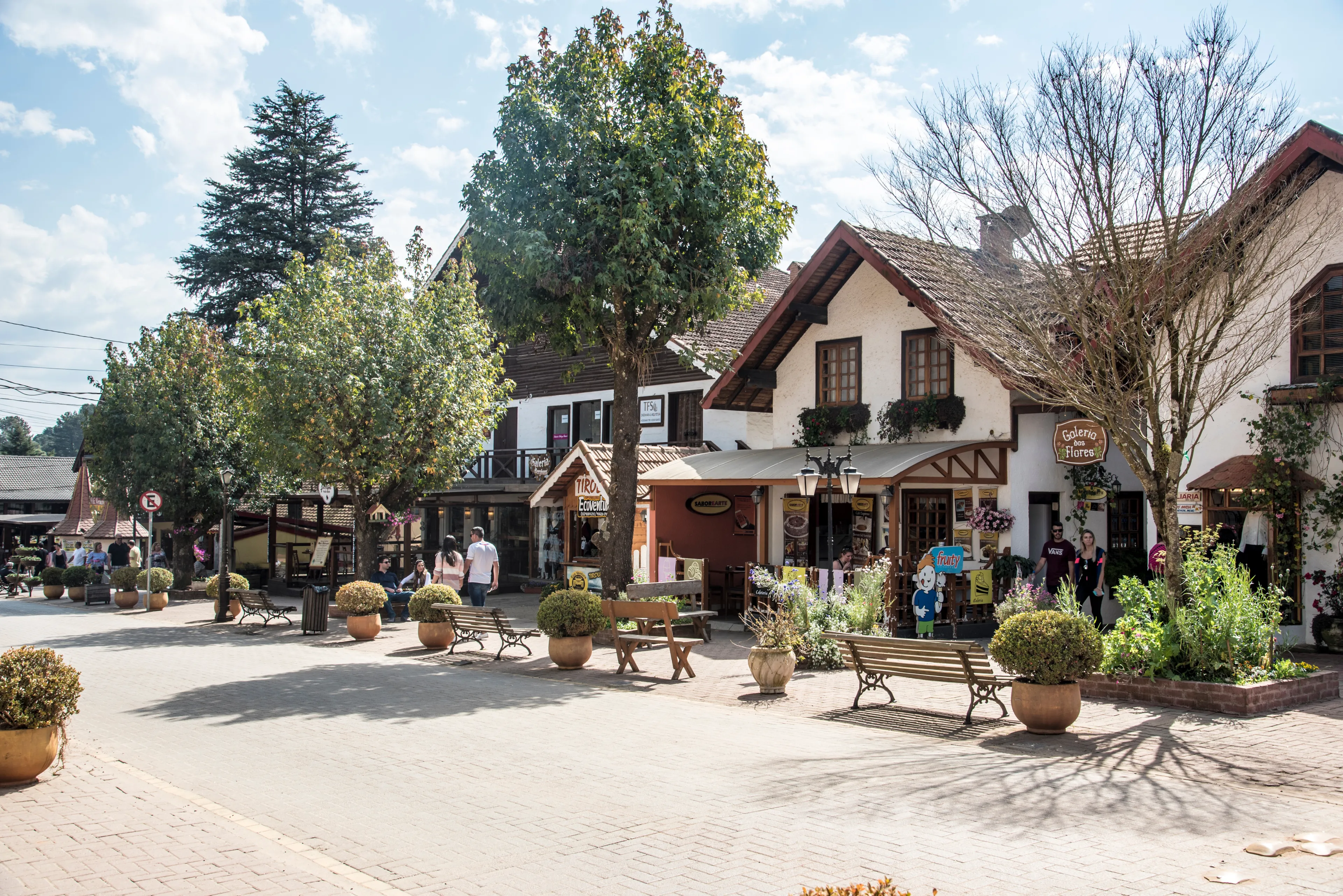 Best Monte Verde hotels. Cheap hotels in Monte Verde, Brazil