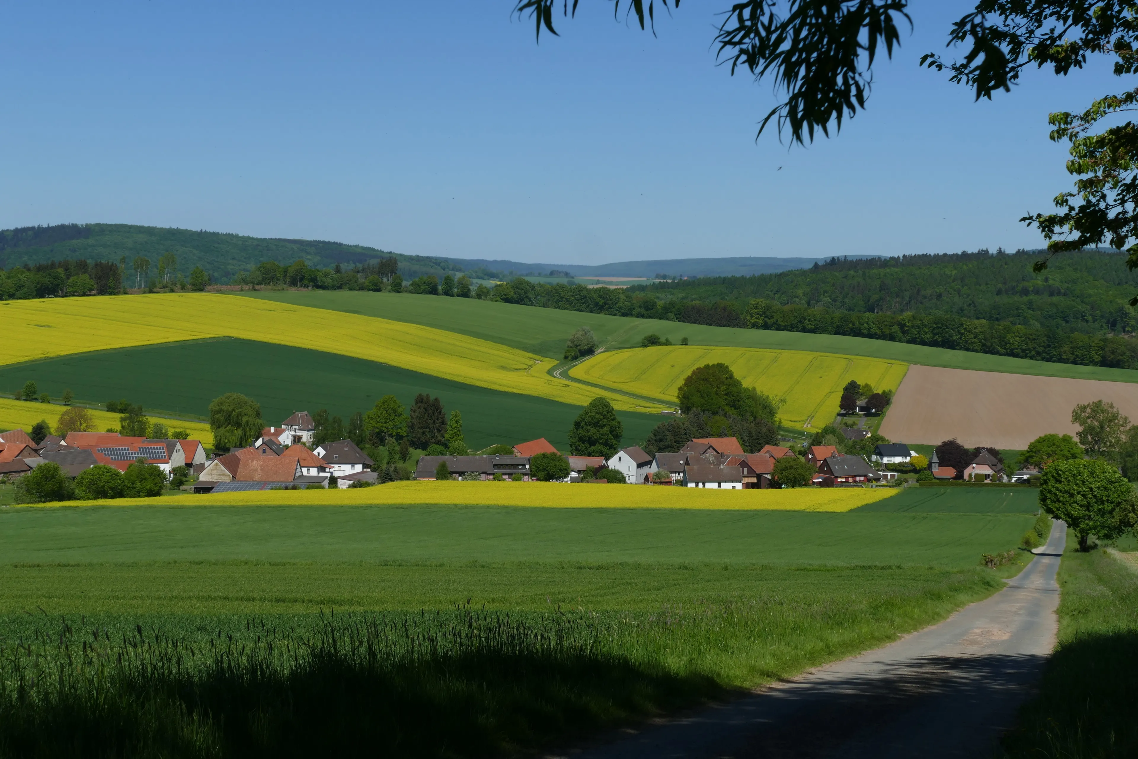 Best Uslar hotels. Cheap hotels in Uslar, Germany