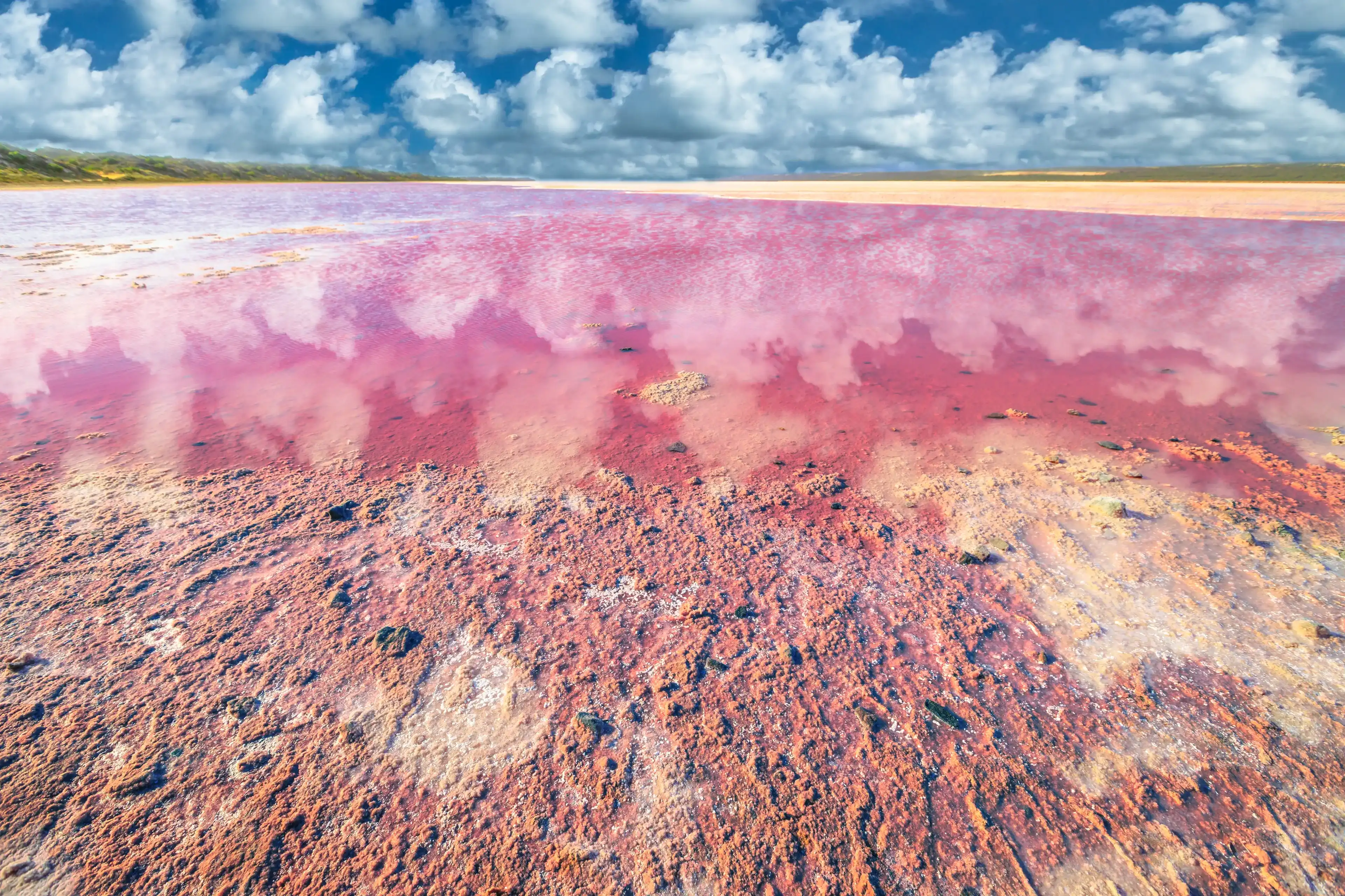 Picturesque shore Pink Salt Lake, Gregory in Western Australia. Blue sky with clouds reflects in Hutt Lagoon between Geraldton and Kalbarri, with a vivid pink color for the presence of algae in summer Picturesque shore Pink Salt Lake, Gregory in Western Australia. Blue sky with clouds reflects in Hutt Lagoon between Geraldton and Kalbarri, with a vivid pink color for the presence of algae in summer