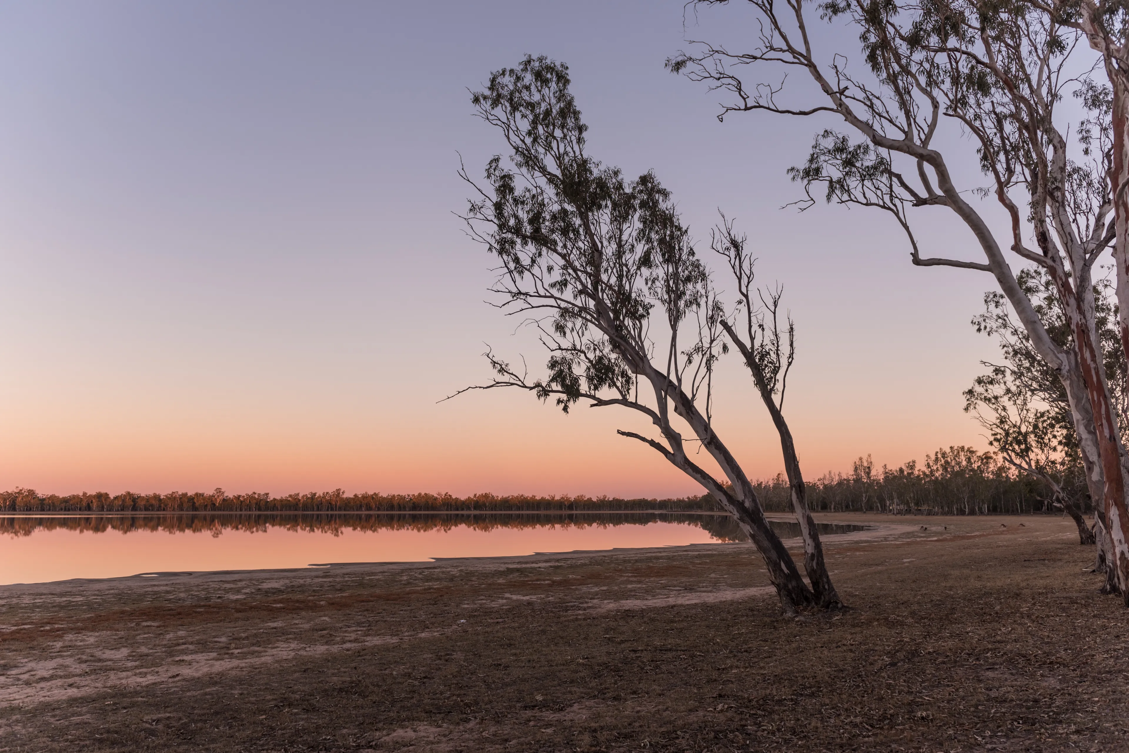 Best Dalby hotels. Cheap hotels in Dalby, Queensland, Australia