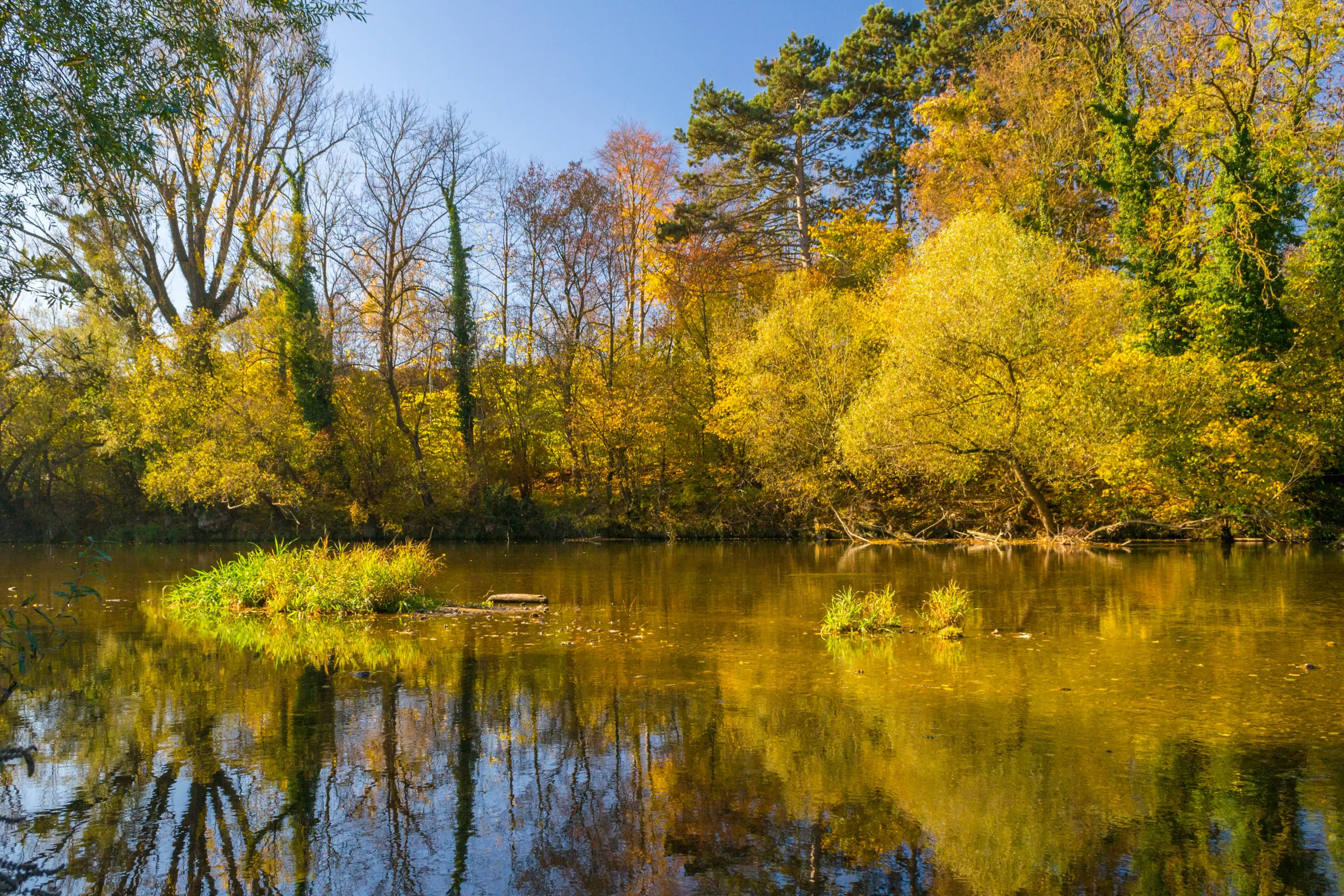 Best Wieselburg hotels. Cheap hotels in Wieselburg, Austria Best Wieselburg hotels. Cheap hotels in Wieselburg, Austria