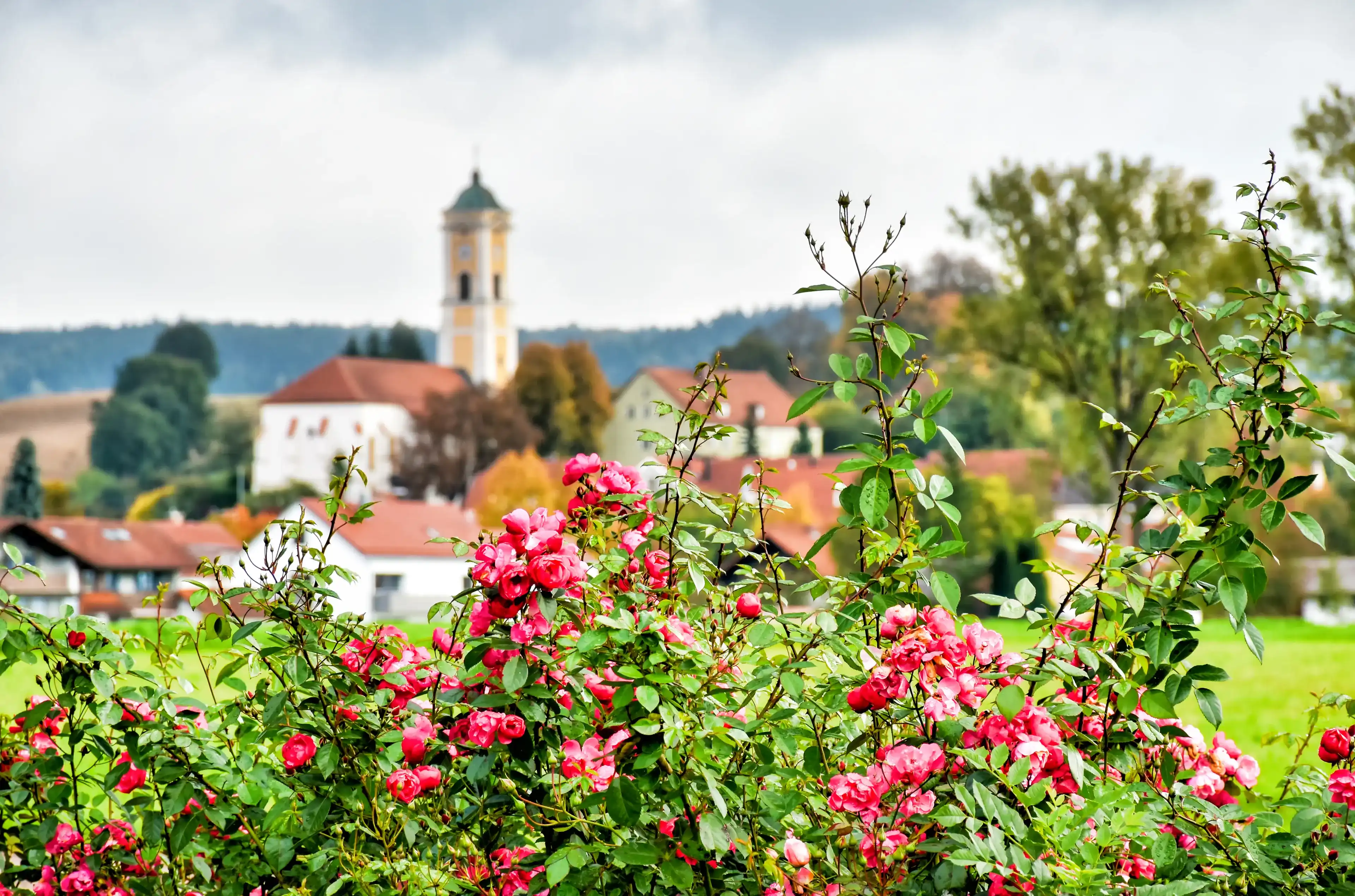 Cityscape of the Bavarian health resort Bad Birnbach with the late gothic parish church Maria Himmelfahrt (Germany) Cityscape of the Bavarian health resort Bad Birnbach with the late gothic parish church Maria Himmelfahrt (Germany)