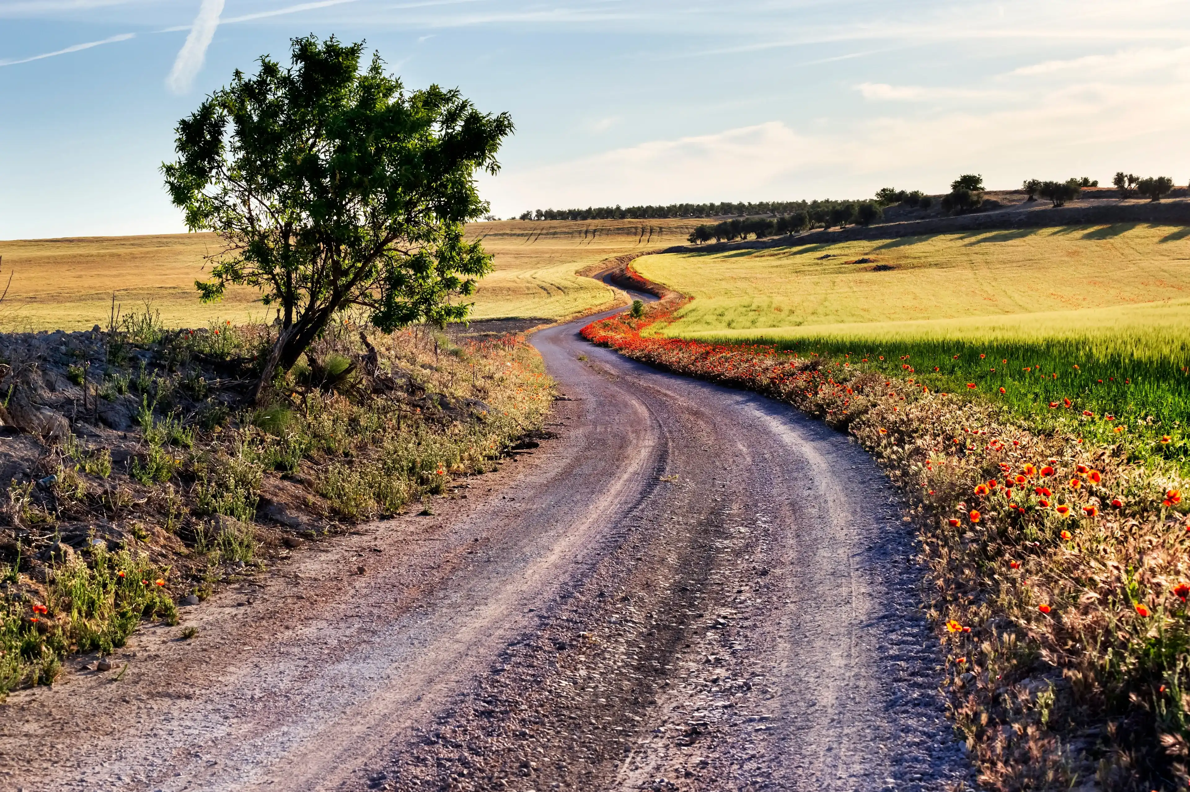 Best Pinto hotels. Cheap hotels in Pinto, Spain Best Pinto hotels. Cheap hotels in Pinto, Spain