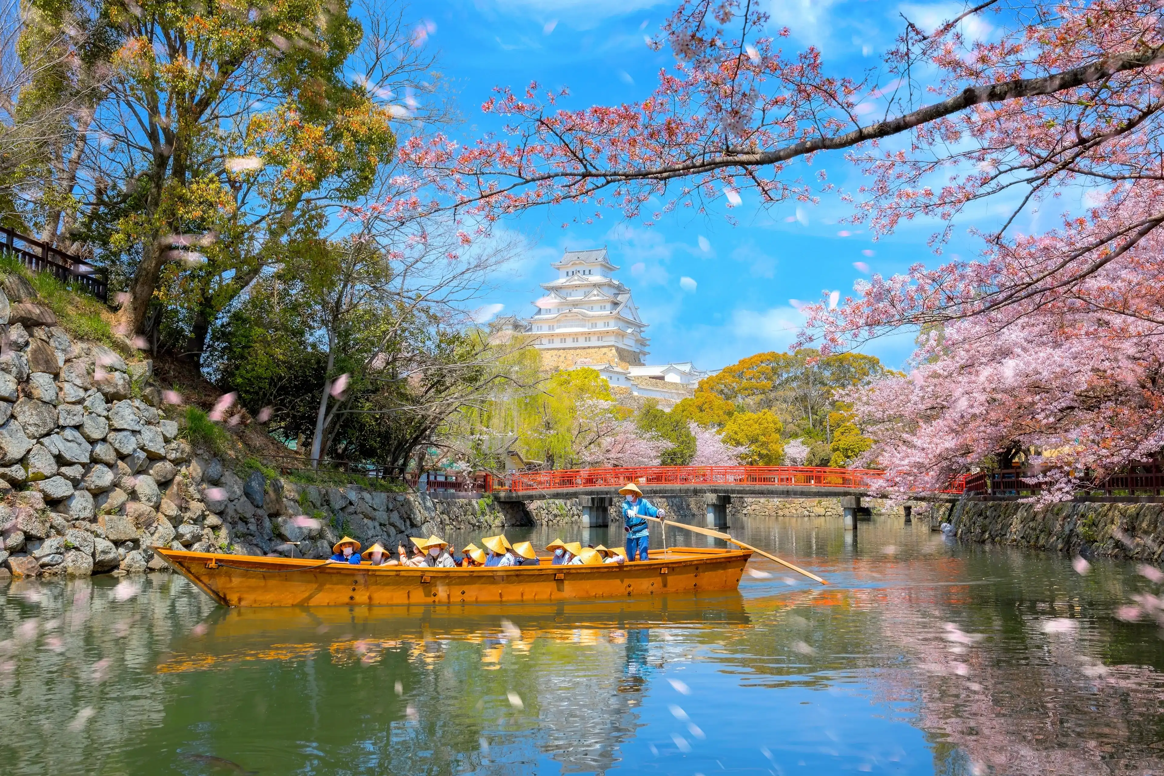 Himeji castle moat boat tour during full bloom cherry blossom in Hyogo, Japan Himeji castle moat boat tour during full bloom cherry blossom in Hyogo, Japan