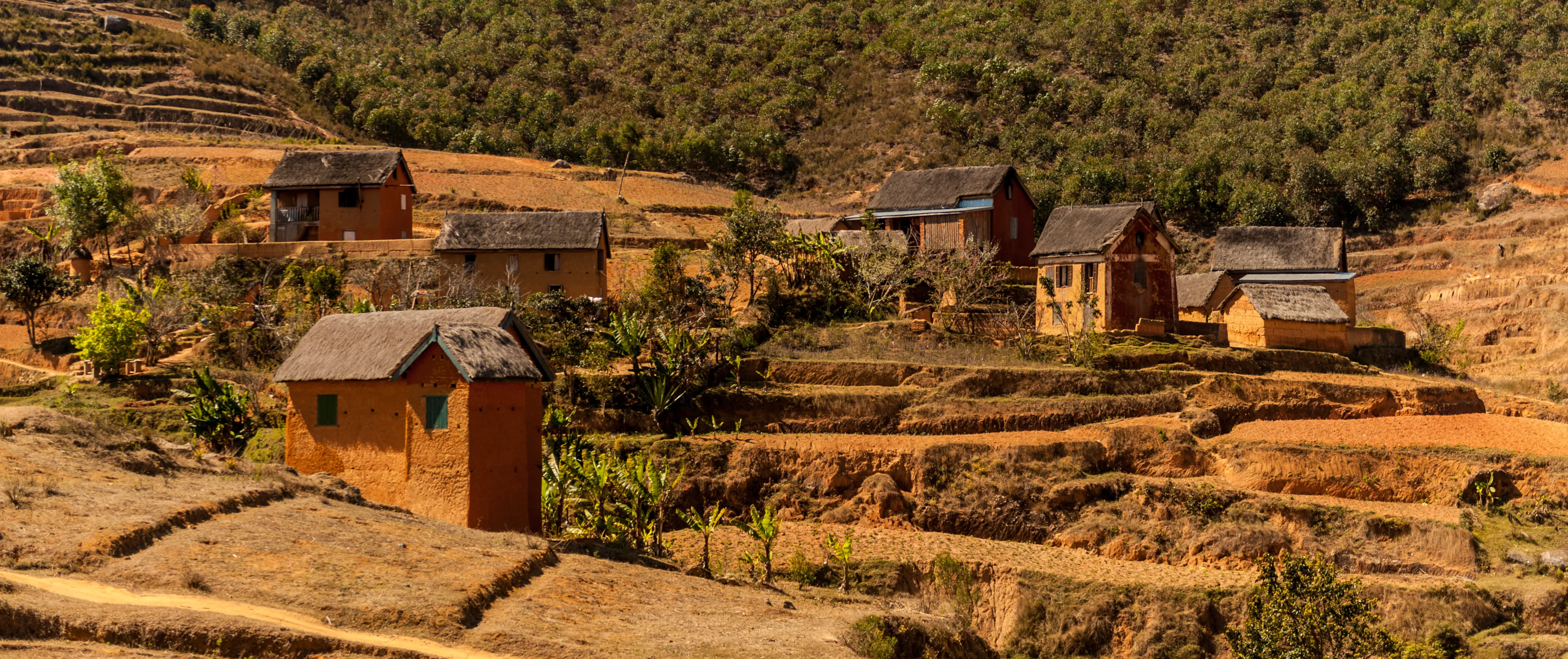 on the road in Antananarivo