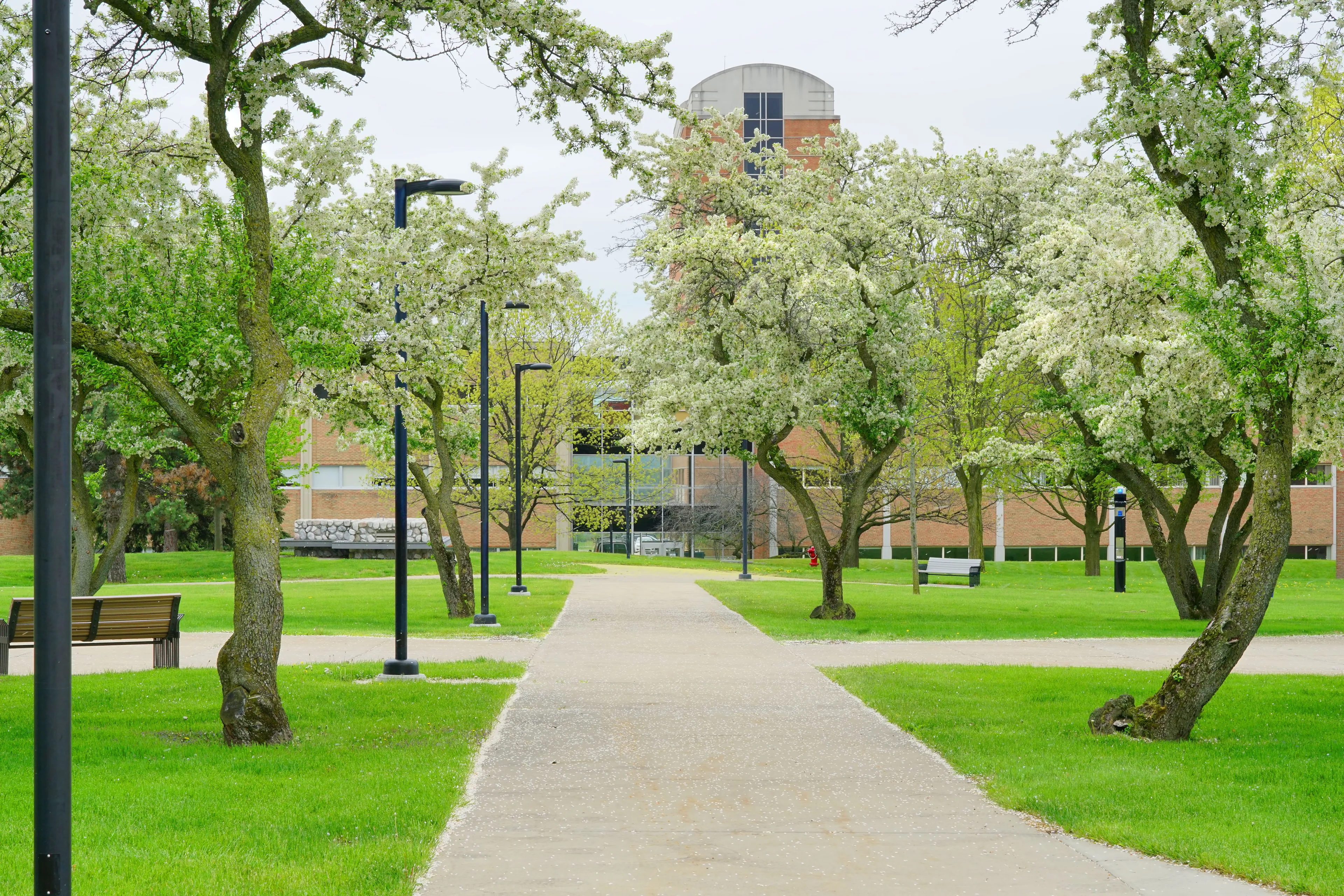 Best Auburn Hills hotels. Cheap hotels in Auburn Hills, Michigan, United States