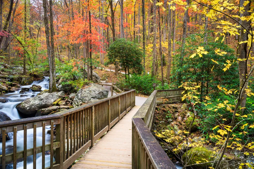 Bridge to Anna Ruby Falls, Georgia, USA in autumn. 