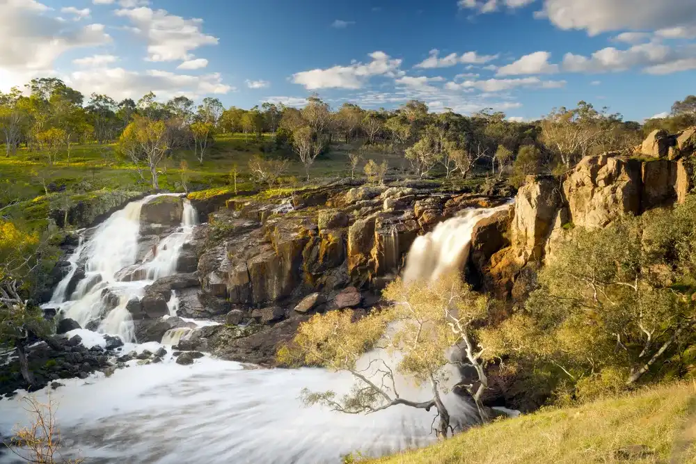 Beautiful Nigretta Falls waterfall in Western Victoria, Australia with high flow during winter time in time-lapse Beautiful Nigretta Falls waterfall in Western Victoria, Australia with high flow during winter time in time-lapse