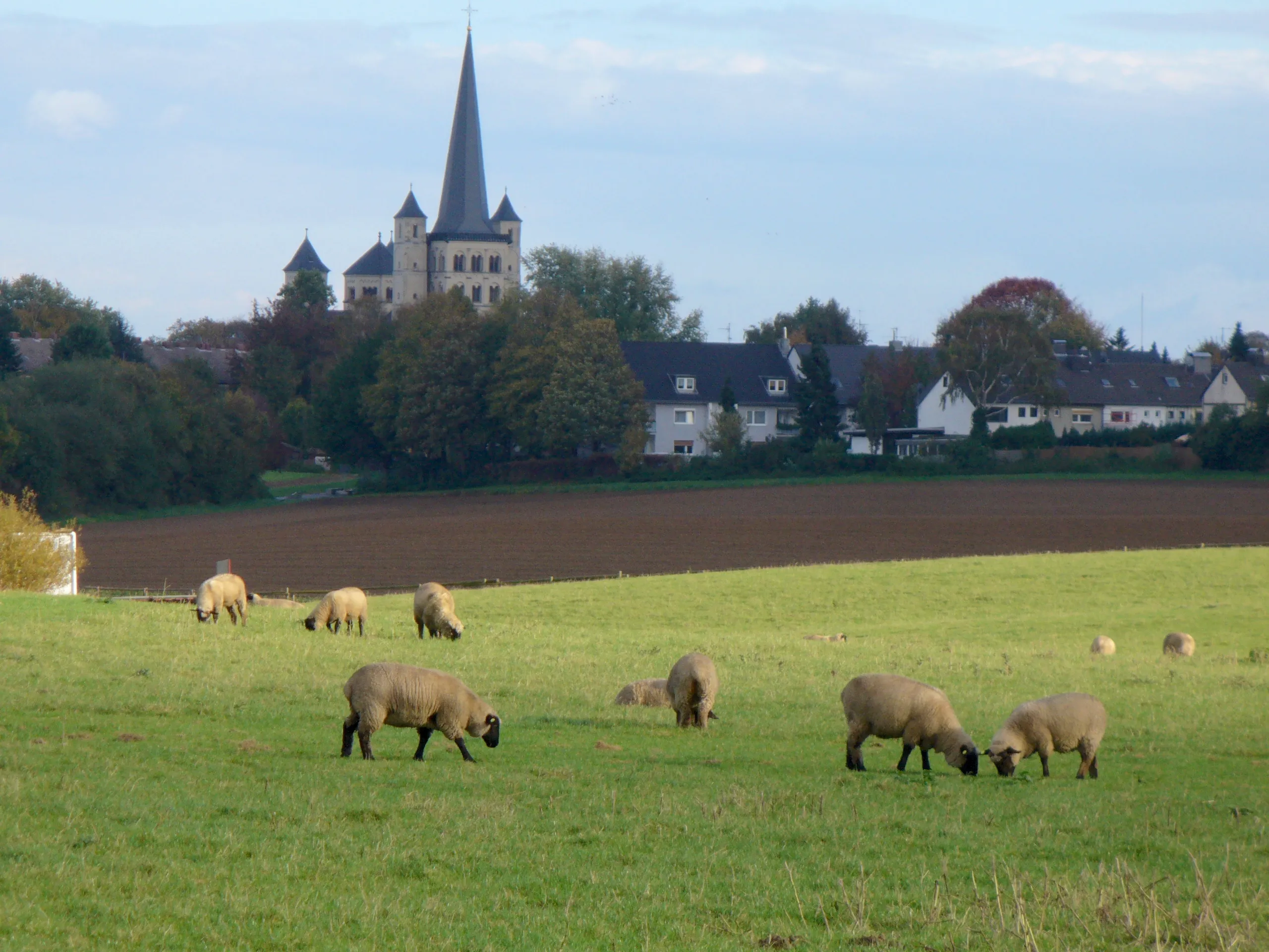 Best Pulheim hotels. Cheap hotels in Pulheim, Germany