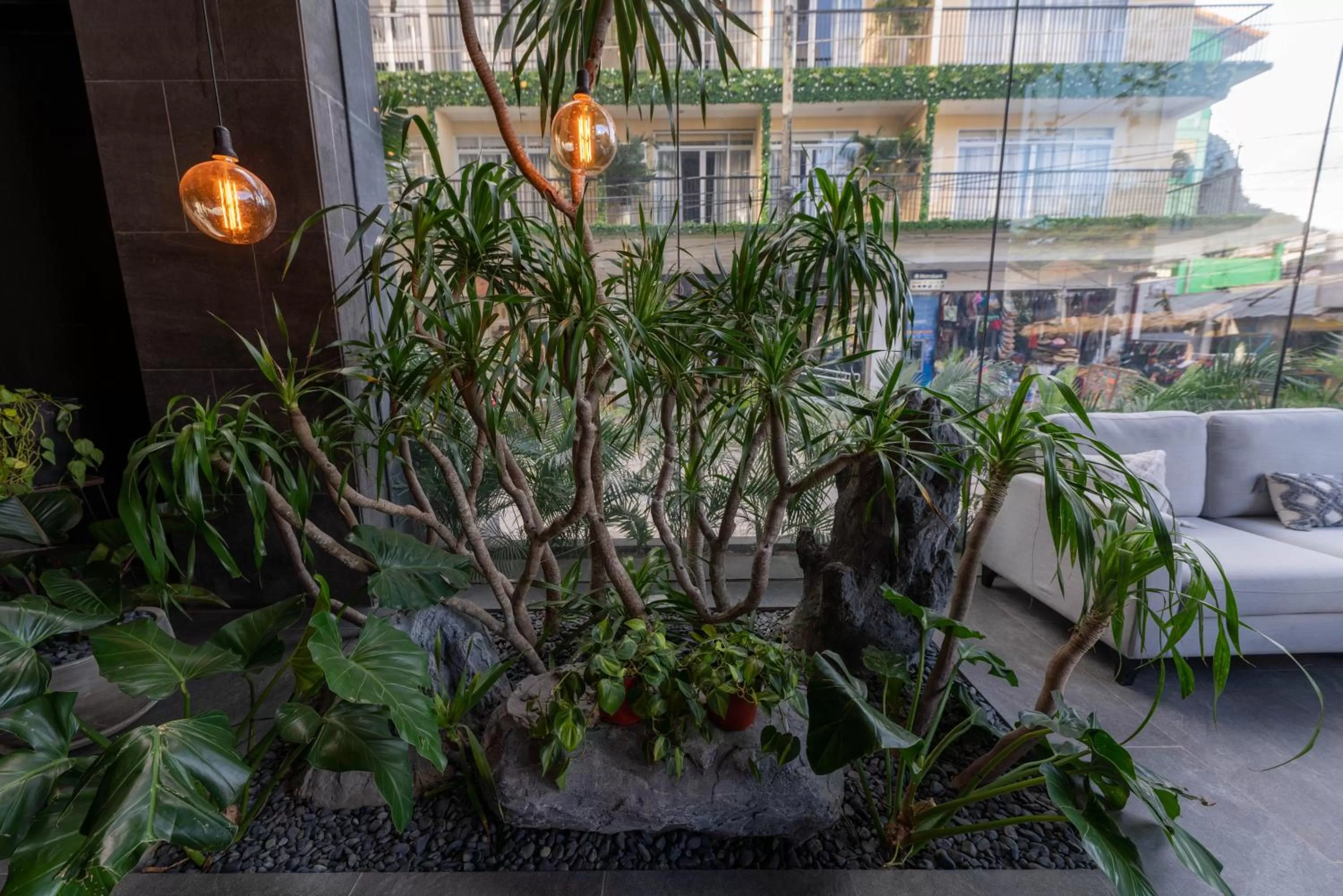 Restaurant/places to eat in H Hotel El Nido - Vegan Friendly Hotel Managed by H Hospitality Group