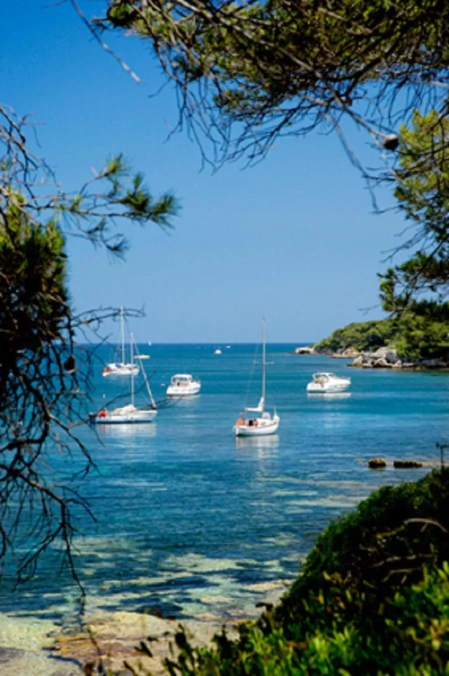 Nearby landmark in Résidence Residéal Premium Cannes