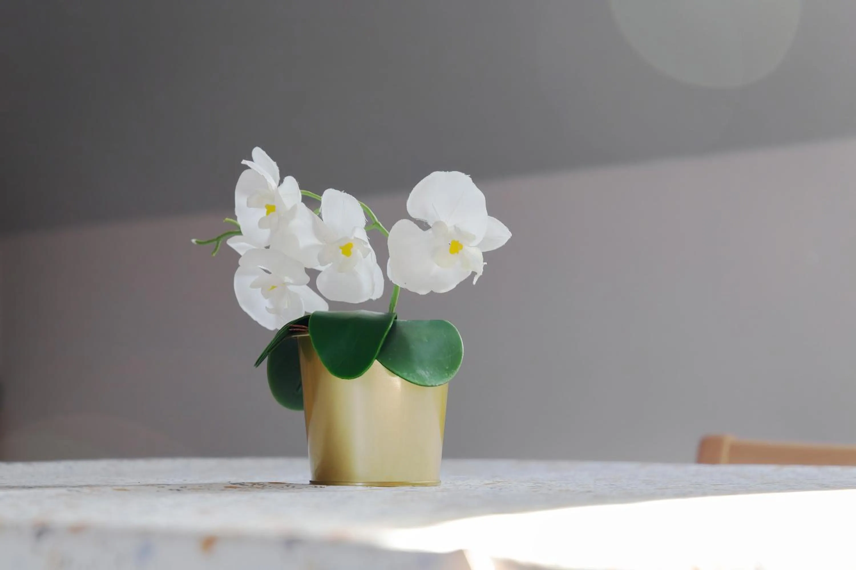 Decorative detail in Sibelius Apartments