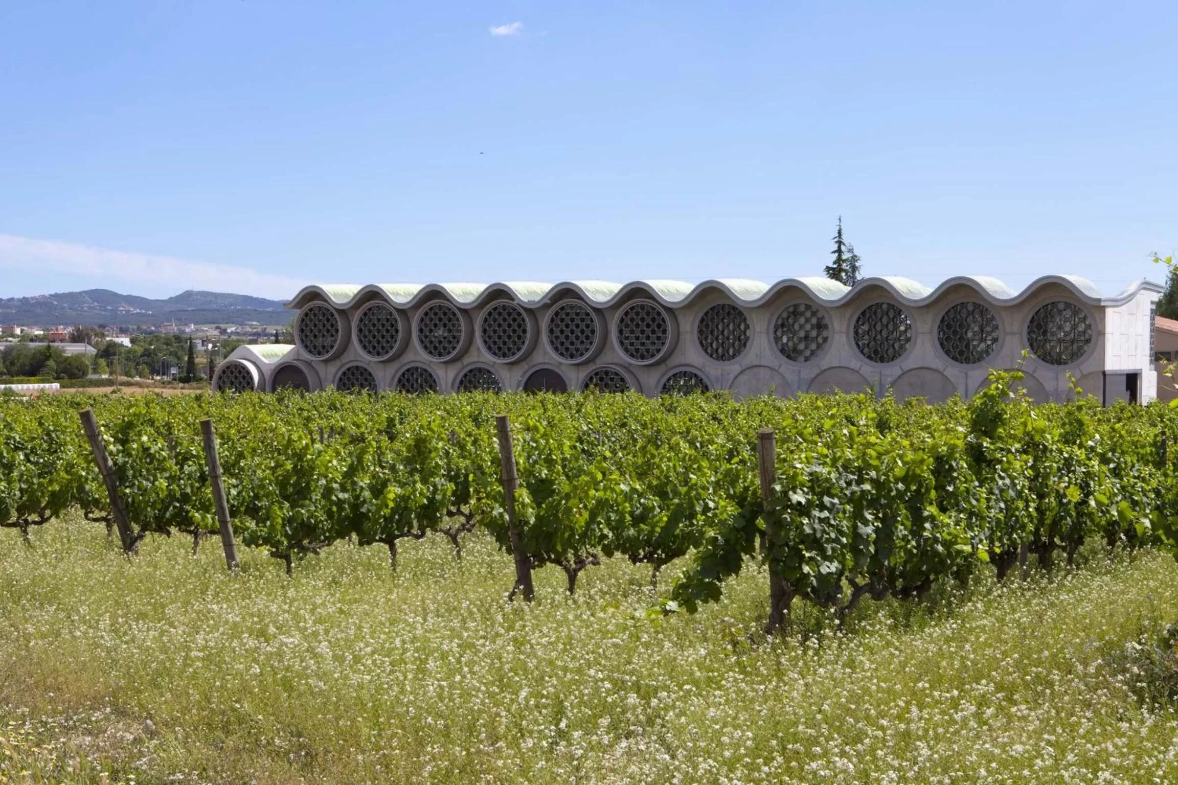 Garden view in Mastinell Cava & Boutique Hotel by Olivia Hotels Collection