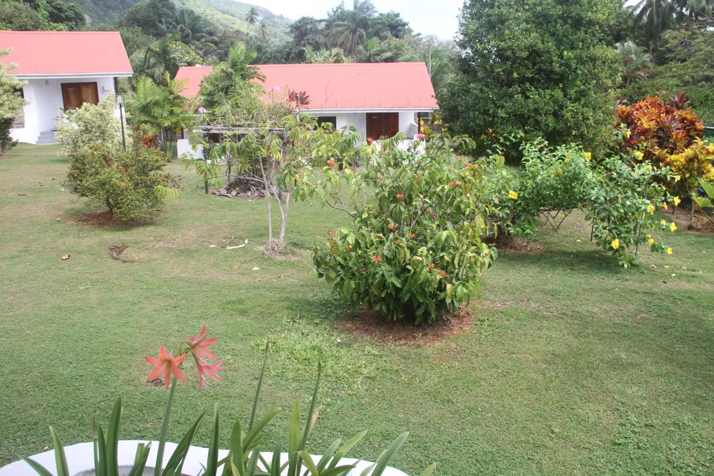 Garden view, Garden in Daniella's Bungalows
