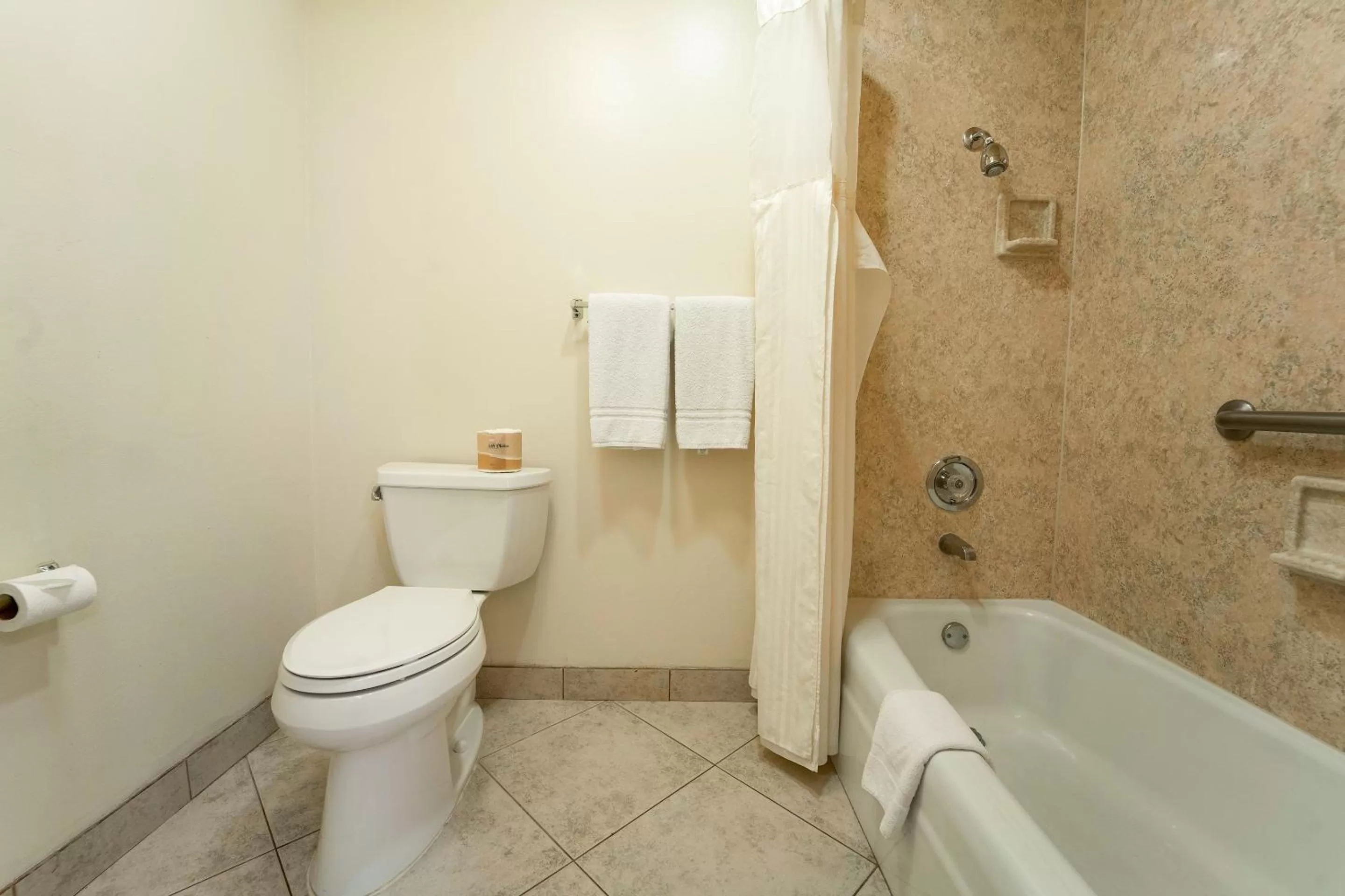 Bathroom in Royal Plaza Inn